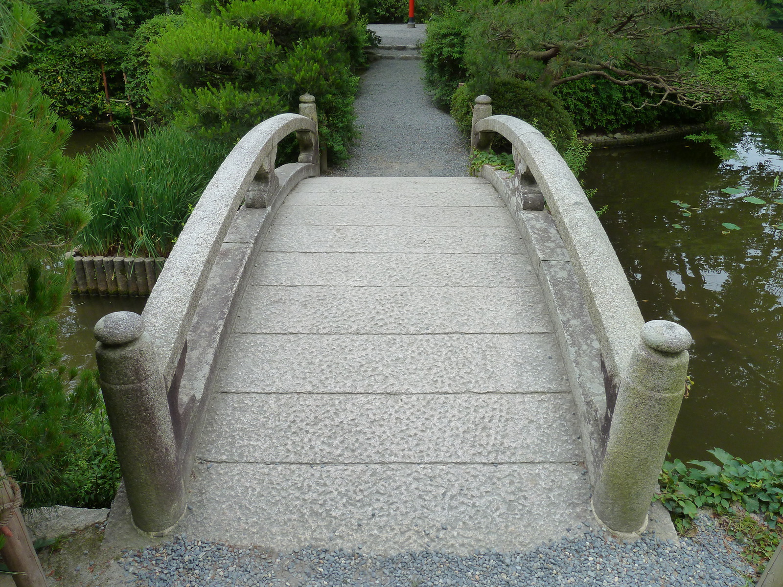 รูปถ่าย ญี่ปุ่น(Japan) เกียวโต(Kyoto) วัดเรียวอันจิ(Ryoanji Temple) 2010-06 14