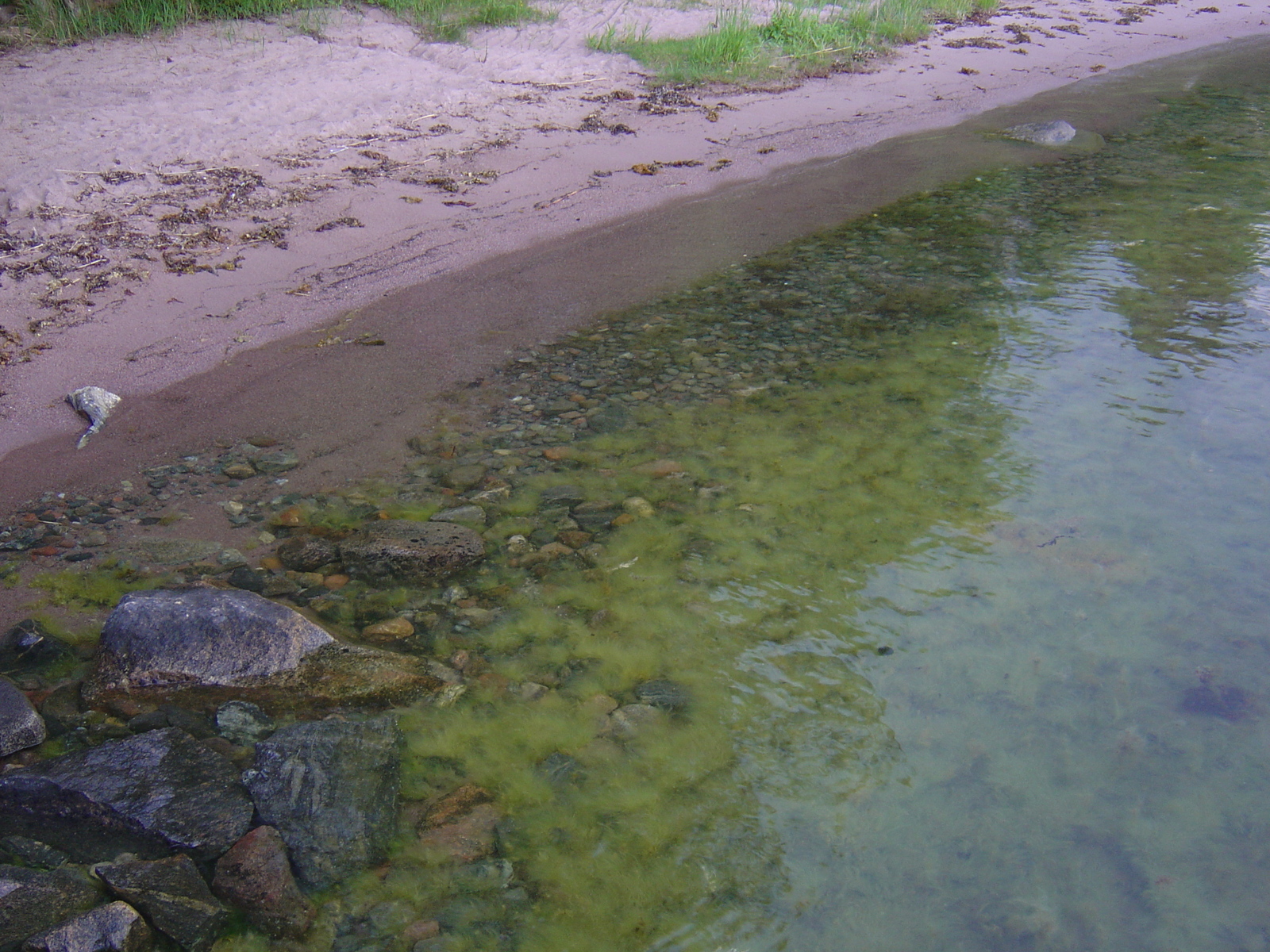รูปถ่าย สวีเดน(Sweden) สตาฟนาส(Stavnas) 2005-06 3