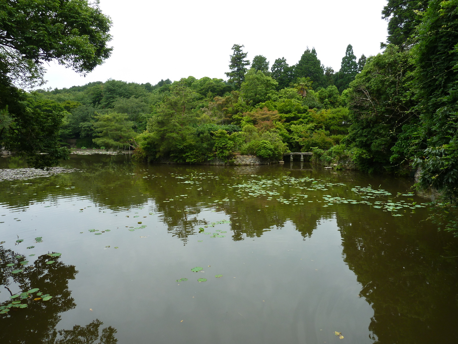 รูปถ่าย ญี่ปุ่น(Japan) เกียวโต(Kyoto) วัดเรียวอันจิ(Ryoanji Temple) 2010-06 11