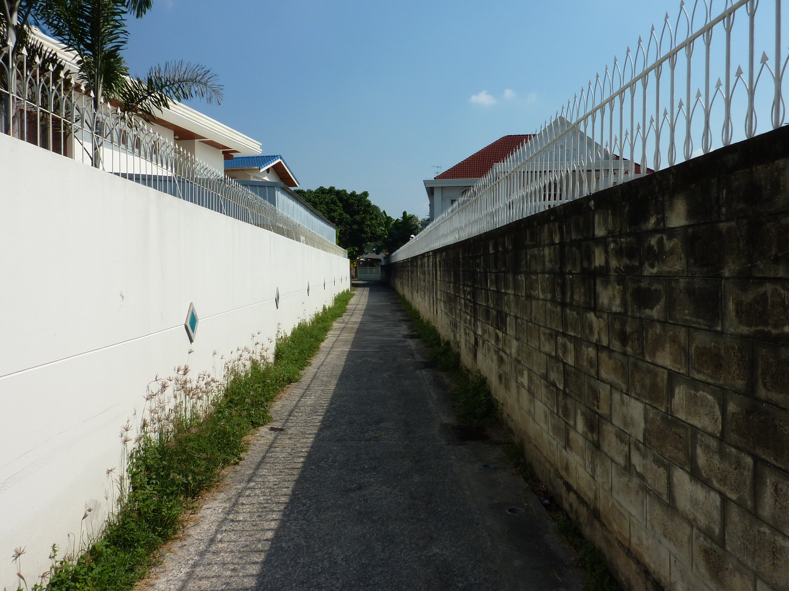 รูปถ่าย ไทย(Thailand) เชียงใหม่(Chiang Mai) ถนนสามล้าน(Sam Lan Road) 2009-12 34