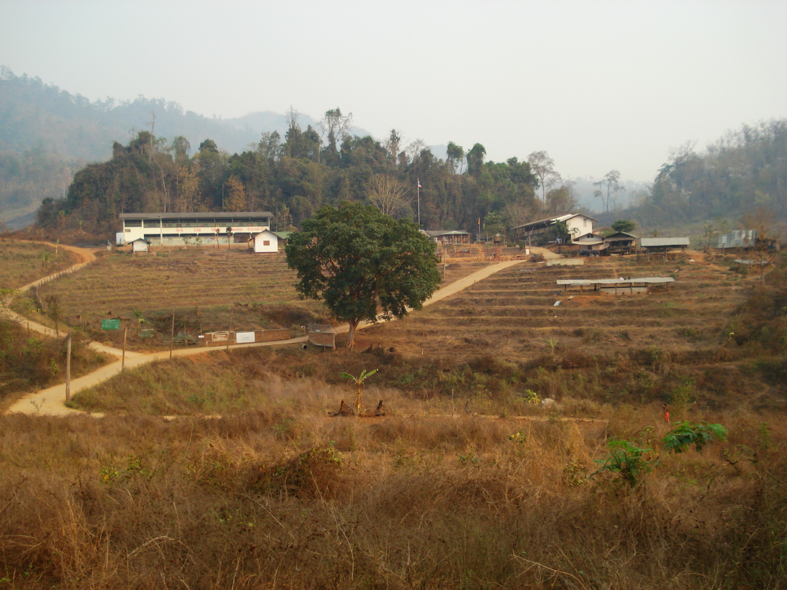 รูปถ่าย ไทย(Thailand) ปางมะผ้า(Pang Mapha) 2007-02 149