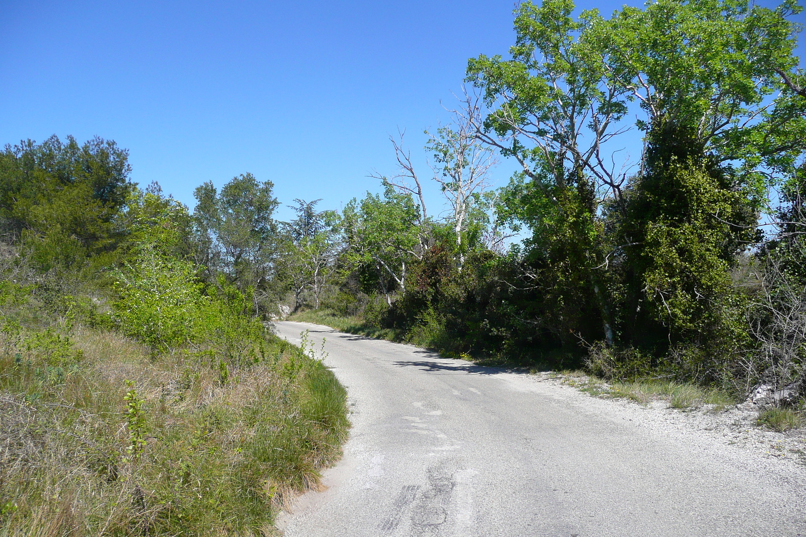 รูปถ่าย ฝรั่งเศส(France) โพรว็องส์(Provence) ถนนจากโบแกร์ไปปงดูการ์(Beaucaire to pont du gard road) 2008-04 9