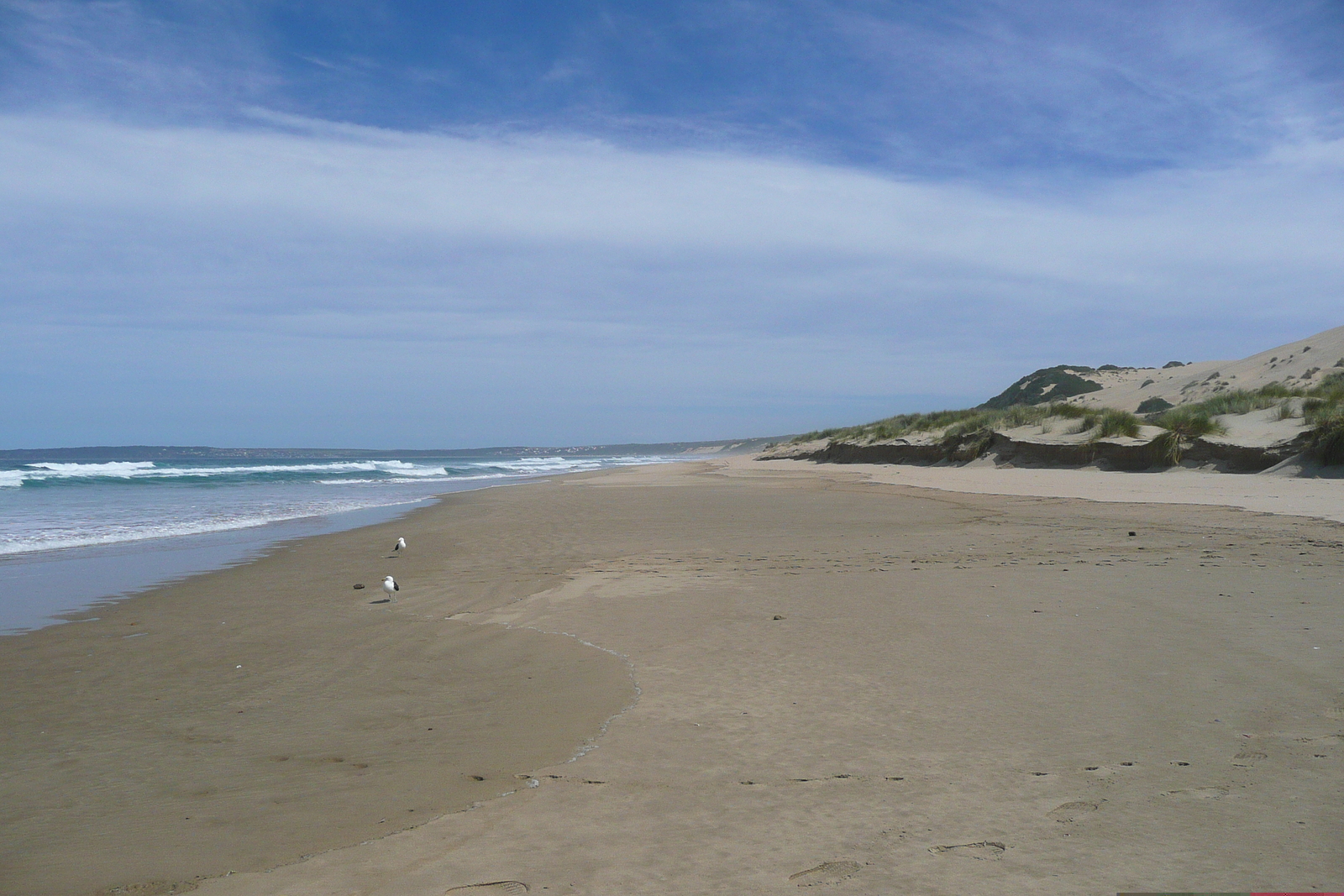 รูปถ่าย แอฟริกาใต้(South Africa) ถนนจากเฮอร์มานัสไปไนส์นา(Harmanus to Knysna road) 2008-09 90