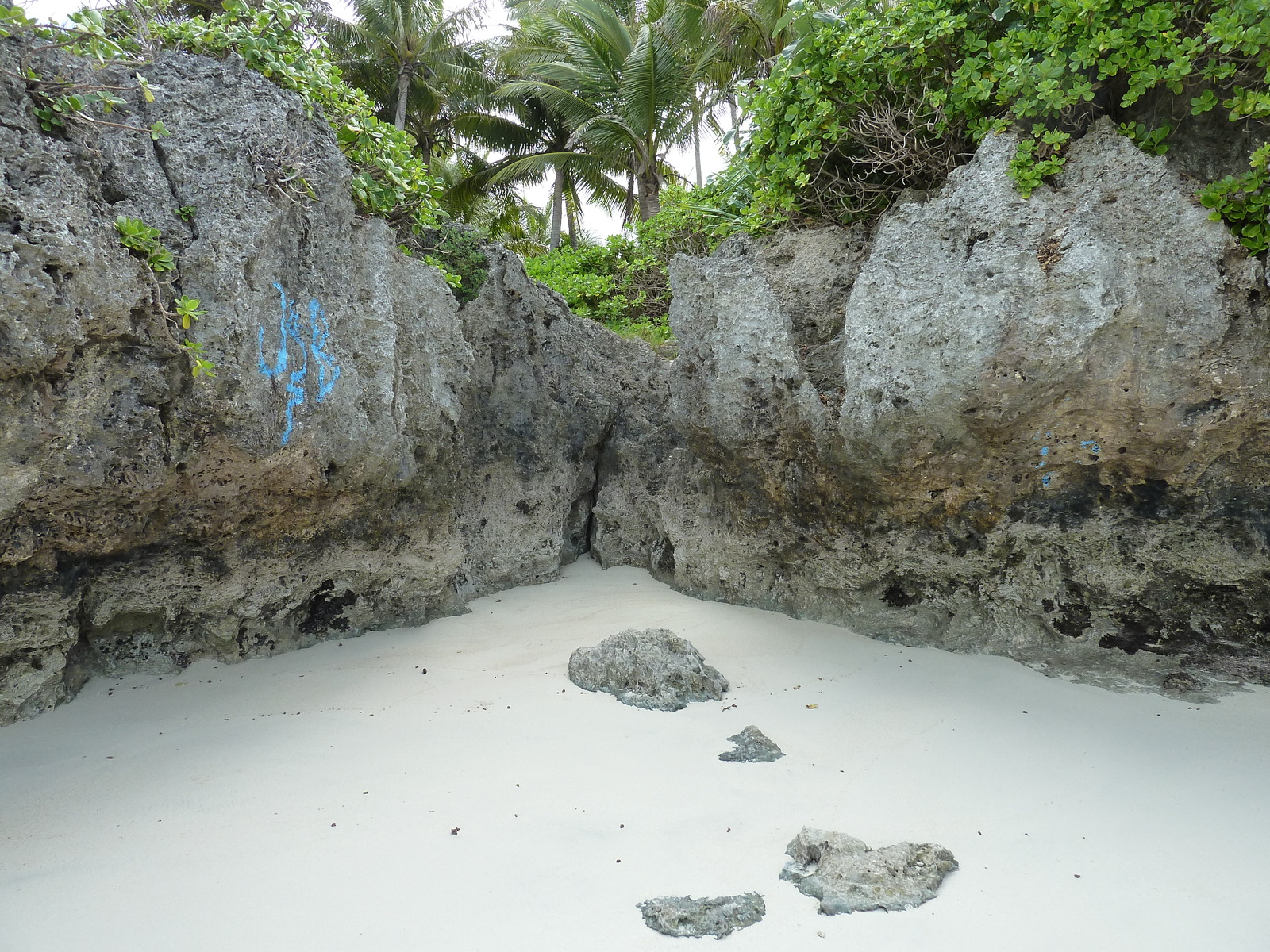 รูปถ่าย นิวแคลิโดเนีย(New Caledonia) เกาะลีฟู(Lifou) อ่าวเต่า(Baie des tortues) 2010-05 30
