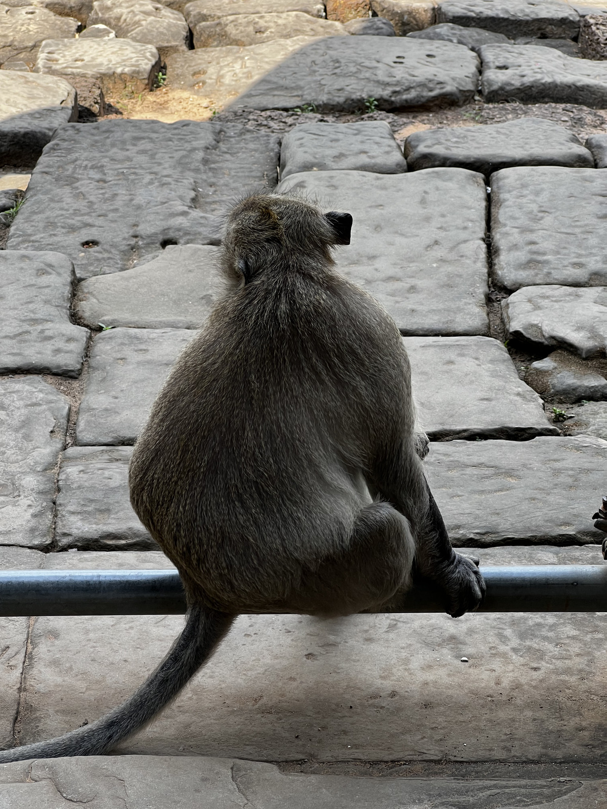 รูปถ่าย กัมพูชา(Cambodia) เสียมราฐ(Siem Reap) ปราสาทบายน(Bayon) 2023-01 16