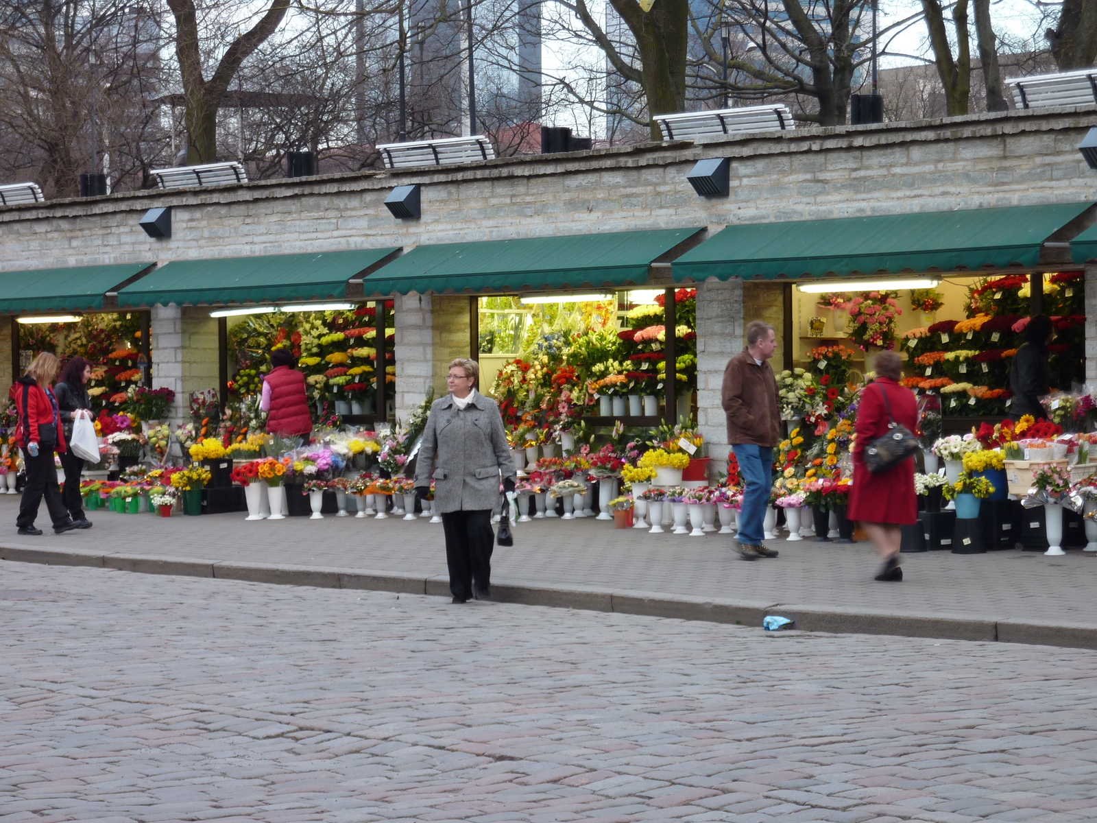 รูปถ่าย เอสโตเนีย(Estonia) ทาลลินน์(Tallinn) เมืองเก่าทาลลินน์(Old Tallinn) 2009-04 21