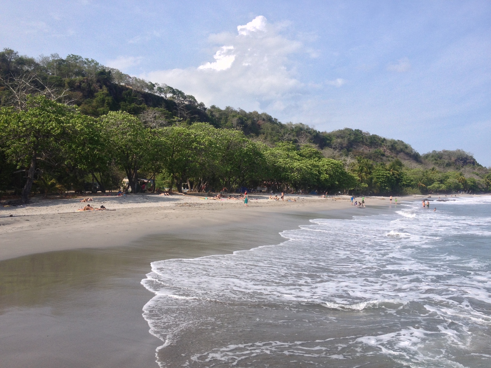รูปถ่าย คอสตาริกา(Costa Rica) มอนเตซูมา(Montezuma) 2015-03 437