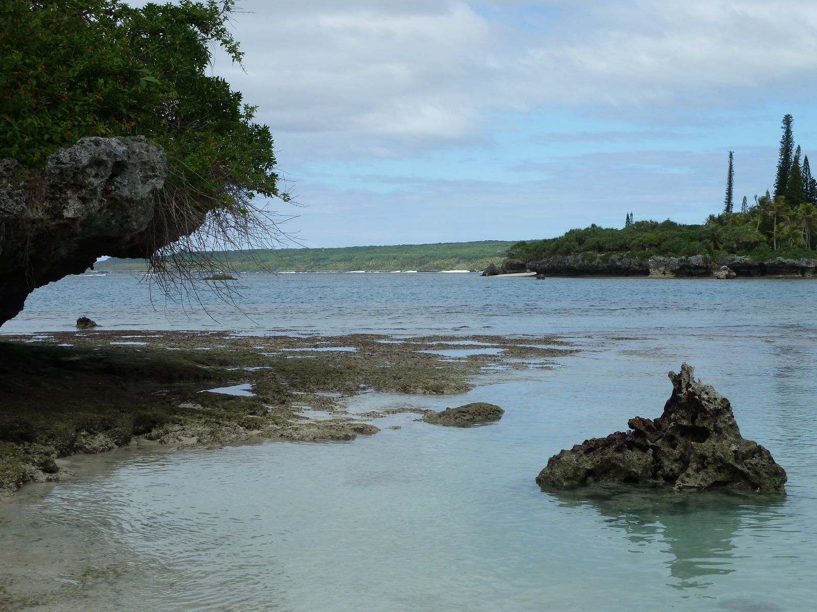 รูปถ่าย นิวแคลิโดเนีย(New Caledonia) เกาะลีฟู(Lifou) อ่าวเต่า(Baie des tortues) 2010-05 3