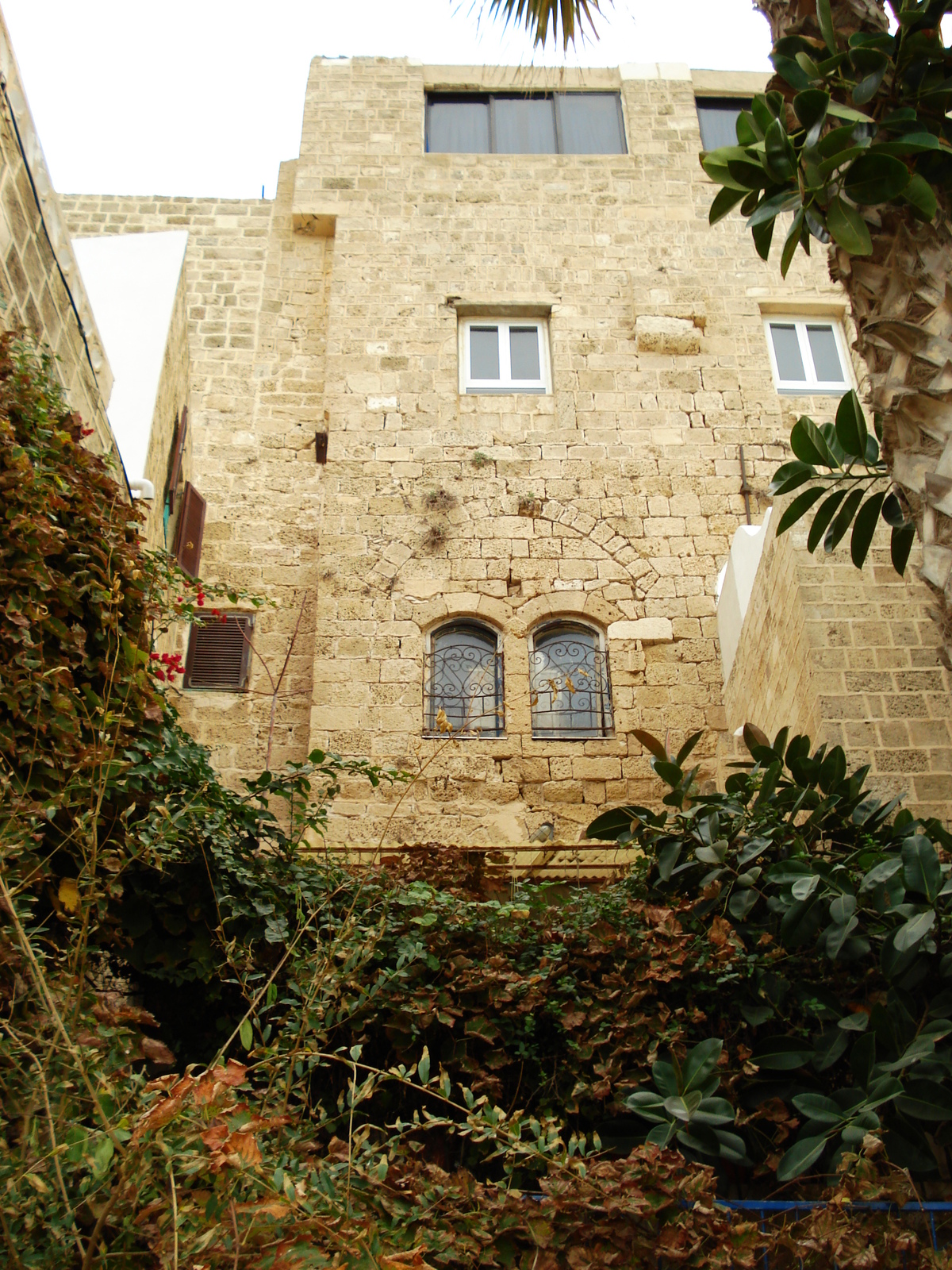 รูปถ่าย อิสราเอล(Israel) จาฟา(Jaffa) 2006-12 215