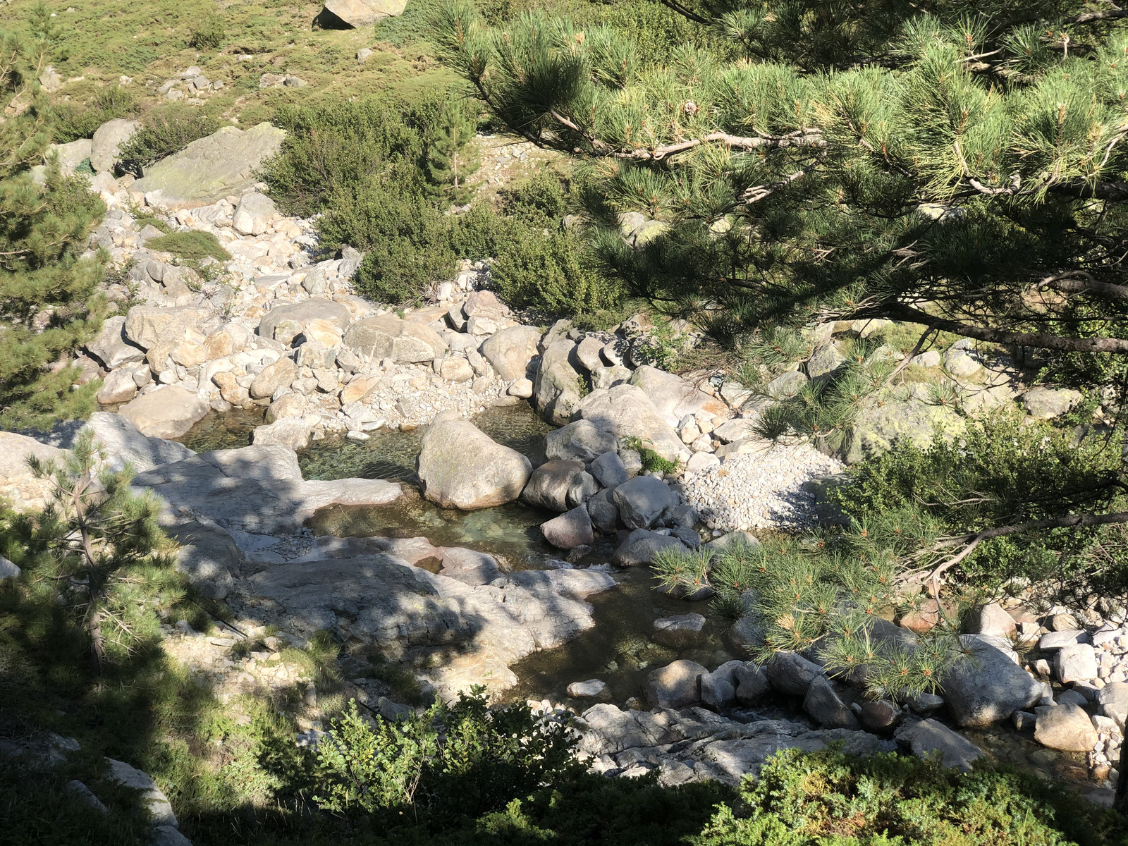 รูปถ่าย ฝรั่งเศส(France) คอร์สิคา(Corsica) หุบเขาลาเรสโตนีกา(La Restonica) 2020-07 59