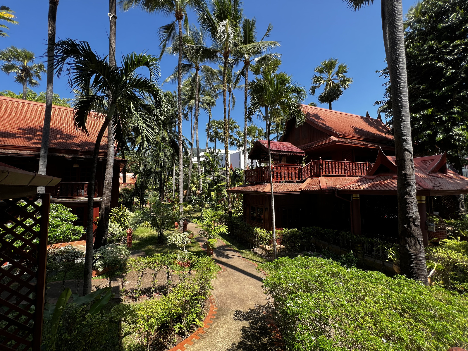 รูปถ่าย ไทย(Thailand) ภูเก็ต(Phuket) ป่าตอง(Patong) โรงแรมรอยัลภาวดีวิลเลจ(Royal Phawadee Village Hotel) 2021-12 72