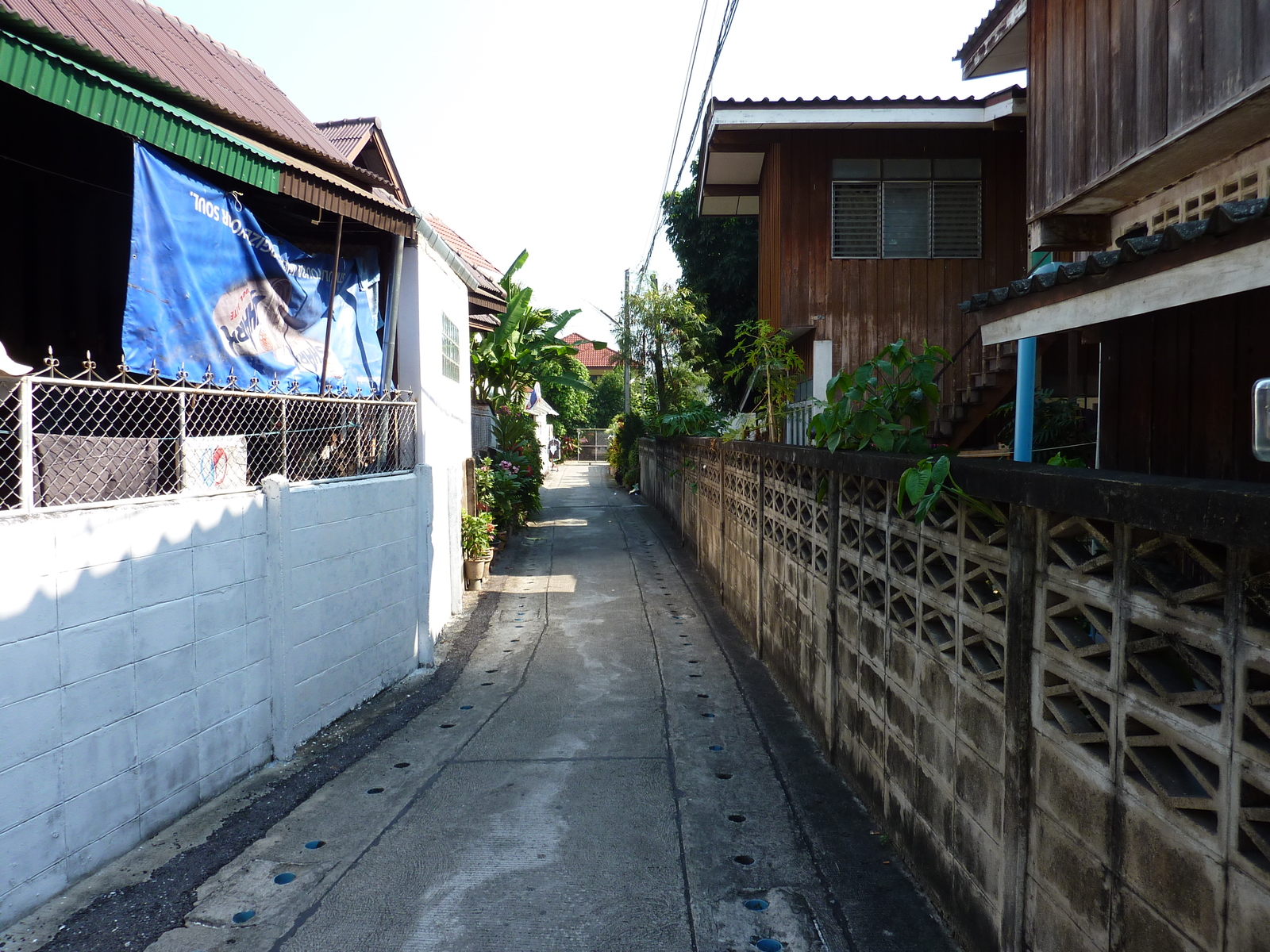 รูปถ่าย ไทย(Thailand) เชียงใหม่(Chiang Mai) ถนนสามล้าน(Sam Lan Road) 2009-12 16