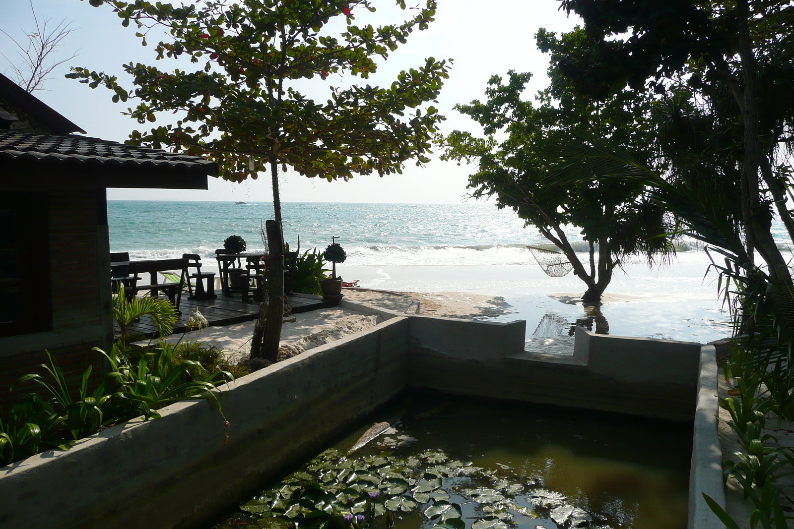รูปถ่าย ไทย(Thailand) เกาะเสม็ด(Ko Samet) อ่าวช่อ(Ao Cho) 2009-01 8