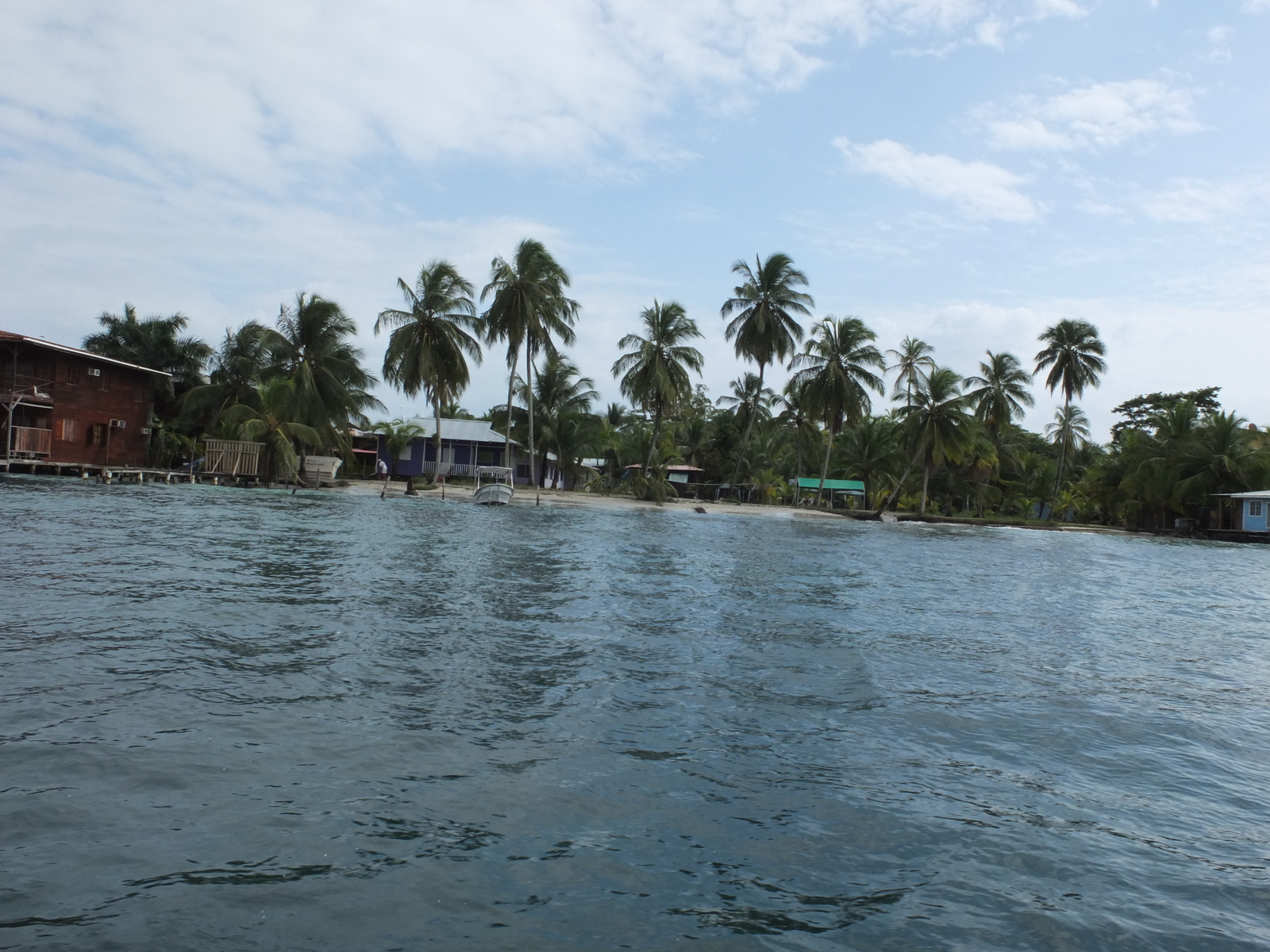 รูปถ่าย ปานามา(Panama) เกาะบาสติเมนโตส(Bastimentos) 2015-03 2