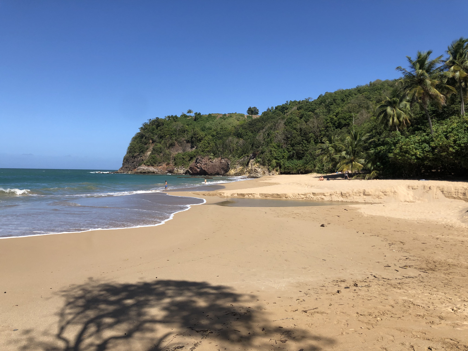 รูปถ่าย กวาเดอลูป(Guadeloupe) ป้อมรอยัล(Fort Royal) 2021-02 22