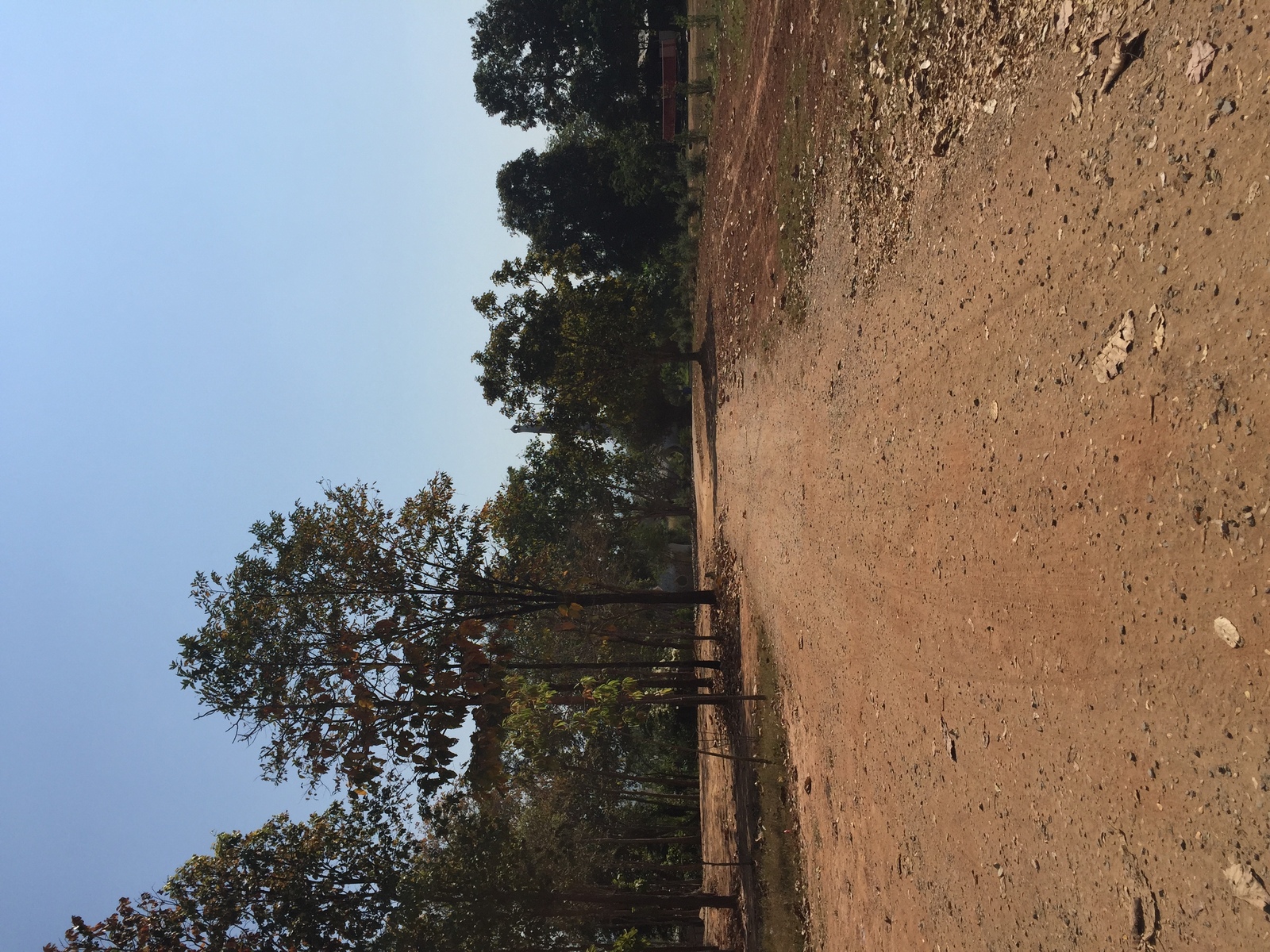 รูปถ่าย ไทย(Thailand) อุทยานแห่งชาติภูหินร่องกล้า(Phu Hin Rong Kla National Park) 2014-12 336