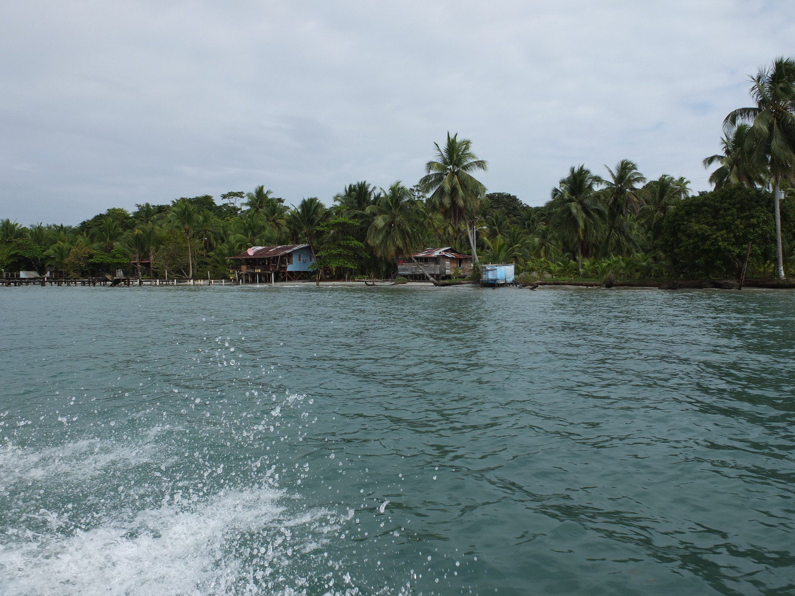รูปถ่าย ปานามา(Panama) เกาะบาสติเมนโตส(Bastimentos) 2015-03 4