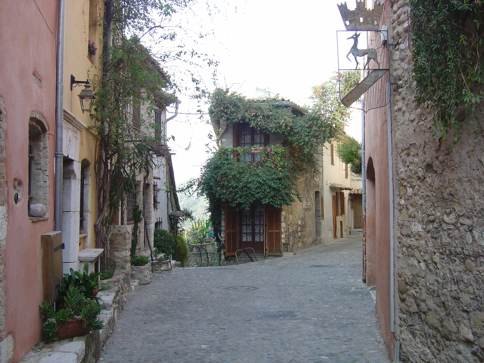รูปถ่าย ฝรั่งเศส(France) โอต์-เดอ-คาญ(Les Hauts de Cagnes) 2006-01 79
