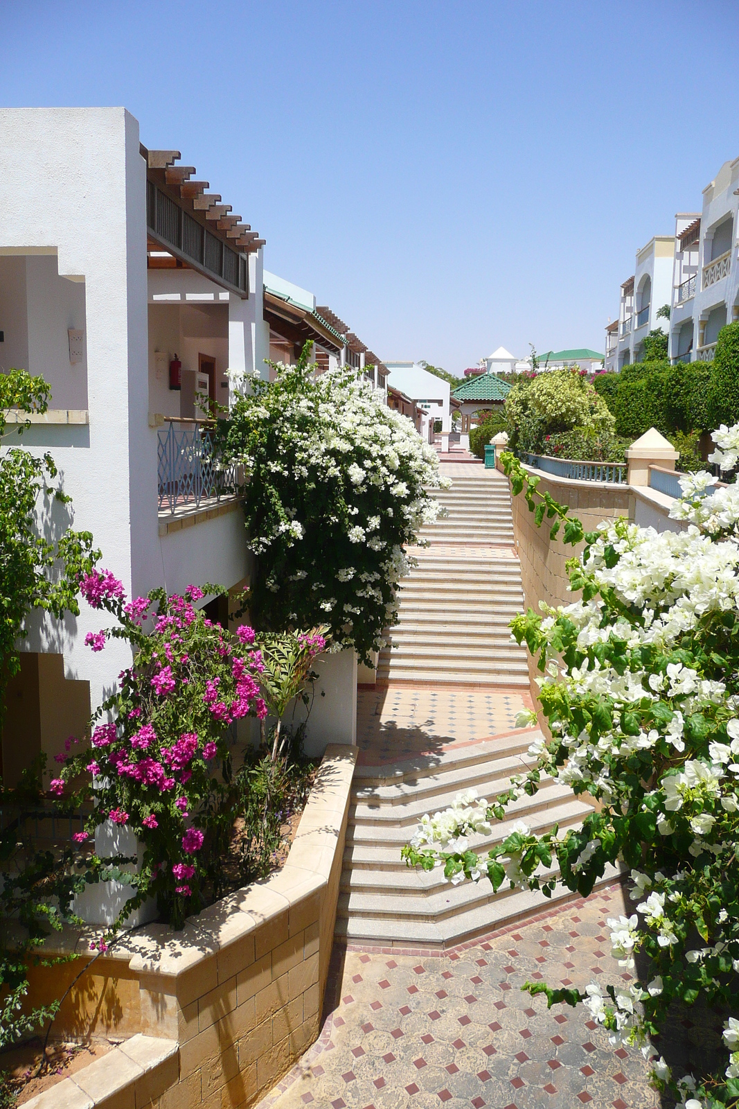 รูปถ่าย อียิปต์(Egypt) ชาร์มเอลชีค(Sharm el Sheikh) โรงแรมไฮแอต(Hyatt Hotel) 2008-06 177