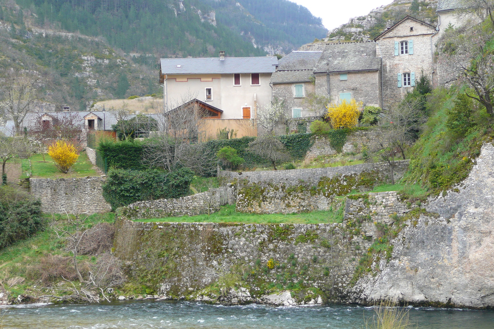 รูปถ่าย ฝรั่งเศส(France) แซ็งเตนีมี(Sainte Enimie) 2008-04 70