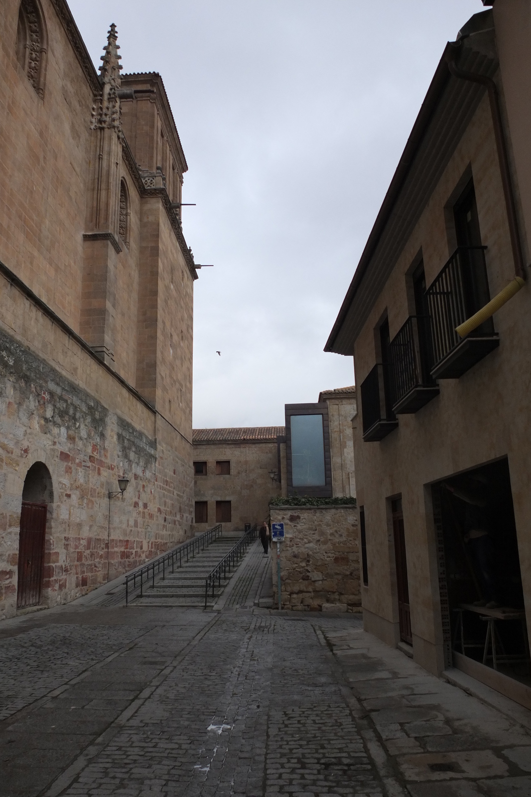 รูปถ่าย สเปน(Spain) ซาลามังกา(Salamanca) 2013-01 68