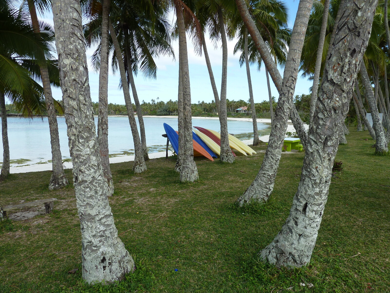 รูปถ่าย นิวแคลิโดเนีย(New Caledonia) เกาะลีฟู(Lifou) อ่าวเต่า(Baie des tortues) 2010-05 35