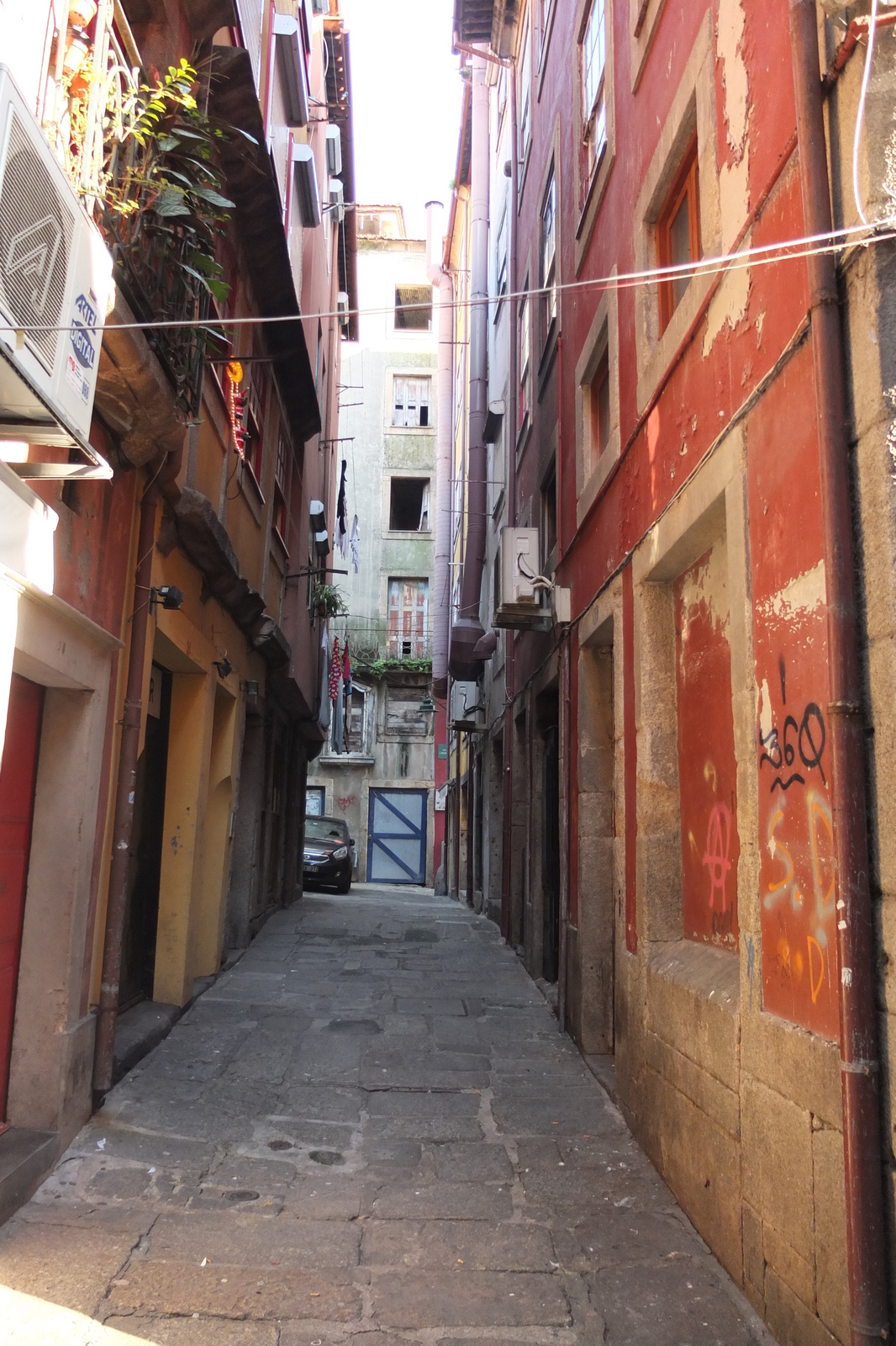 รูปถ่าย โปรตุเกส(Portugal) ปอร์โต(Porto) 2013-01 233