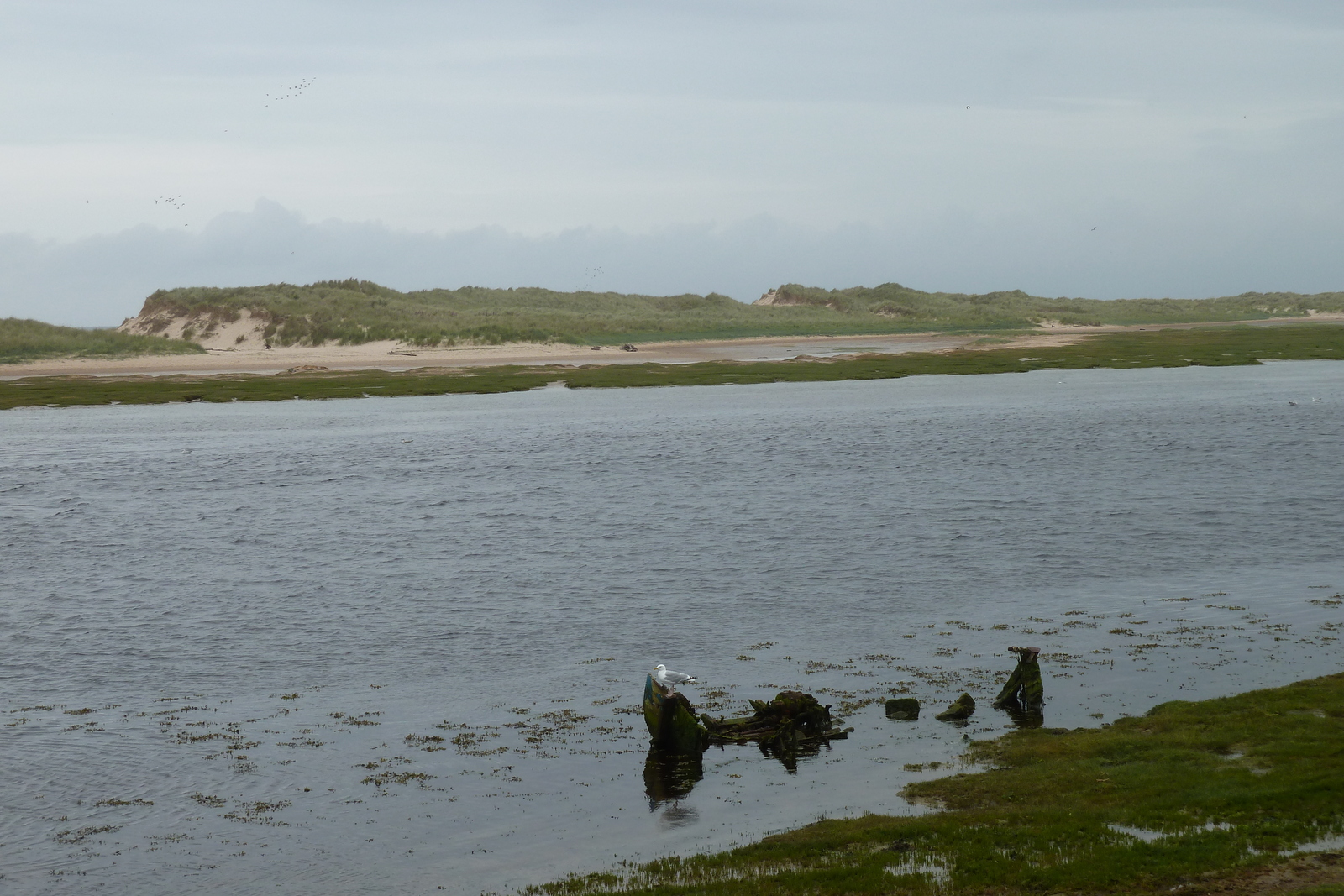 รูปถ่าย อังกฤษ(United Kingdom) สกอตแลนด์(Scotland) ลอสซีเมาท์(Lossiemouth) 2011-07 6