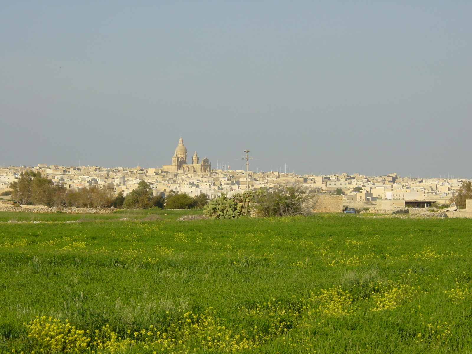 รูปถ่าย มอลตา(Malta) รอบๆเอ็มดินา(Around Mdina) 2003-03 9