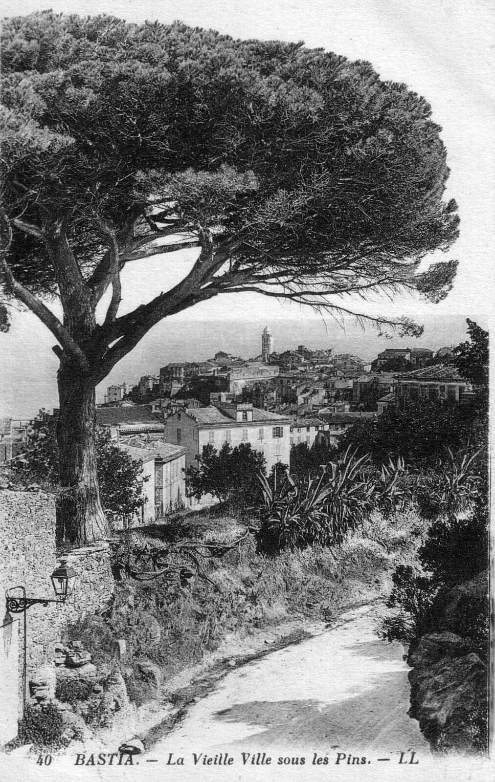 รูปถ่าย ฝรั่งเศส(France) คอร์สิคา(Corsica) โปสการ์ดเก่า(Old Postcards) บาสเทีย(Bastia) 1900-01 55