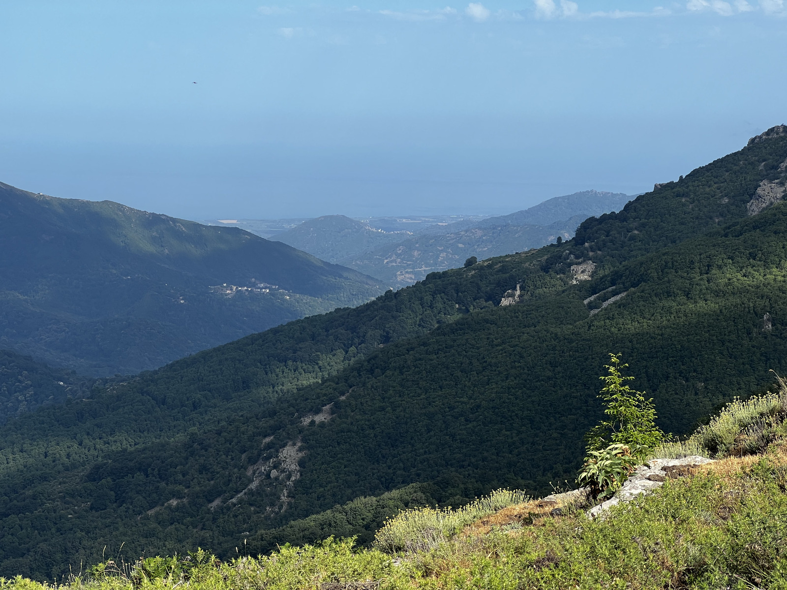 รูปถ่าย ฝรั่งเศส(France) คอร์สิคา(Corsica) ที่พักกัลเลรุชชู(Refuge de Callerucciu) 2022-06 47