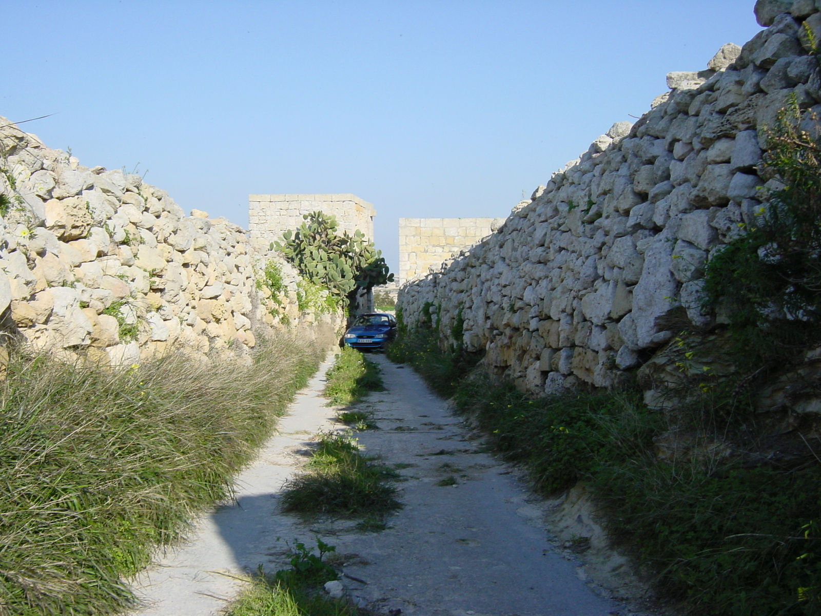 รูปถ่าย มอลตา(Malta) รอบๆเอ็มดินา(Around Mdina) 2003-03 2