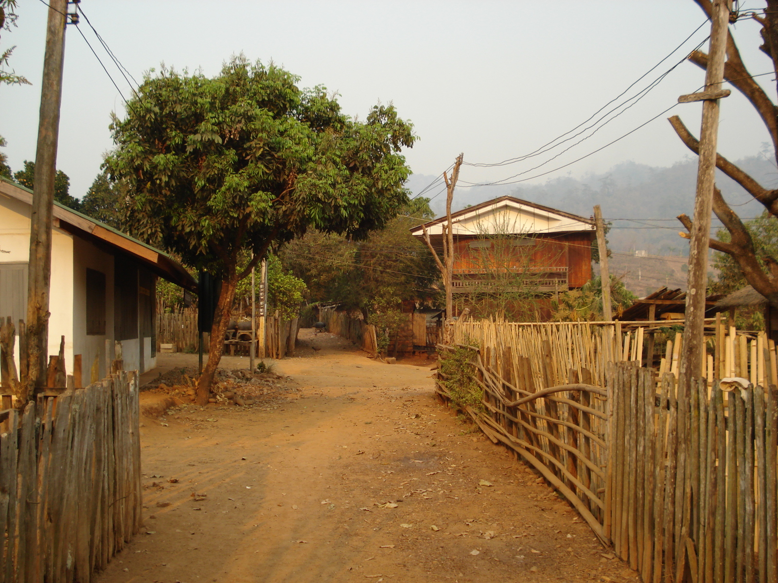 รูปถ่าย ไทย(Thailand) ปางมะผ้า(Pang Mapha) 2007-02 84