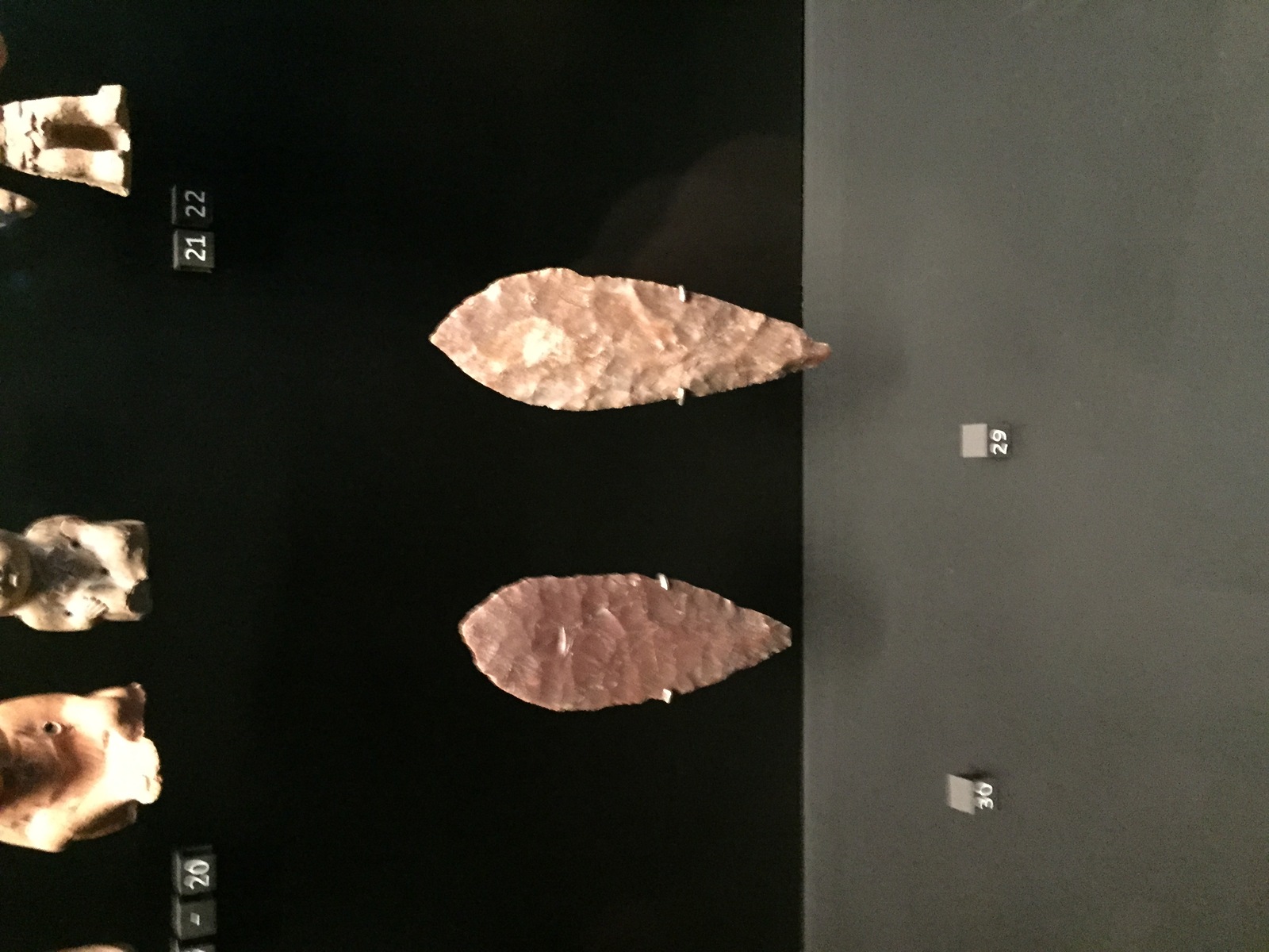 รูปถ่าย ฝรั่งเศส(France) ปารีส(Paris) พิพิธภัณฑ์เกบร็องลี(Quai Branly Museum) 2015-09 39