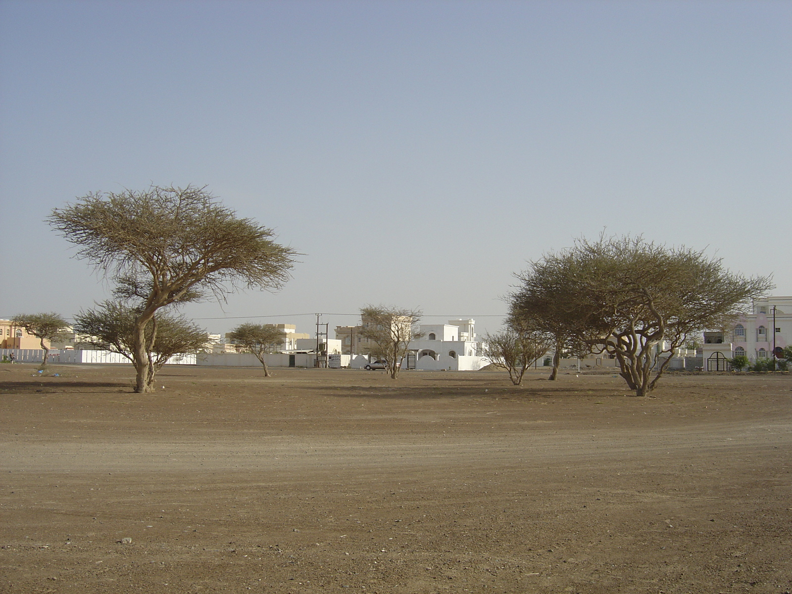 รูปถ่าย โอมาน(Oman) บูไรมิ(Buraimi) 2005-03 4