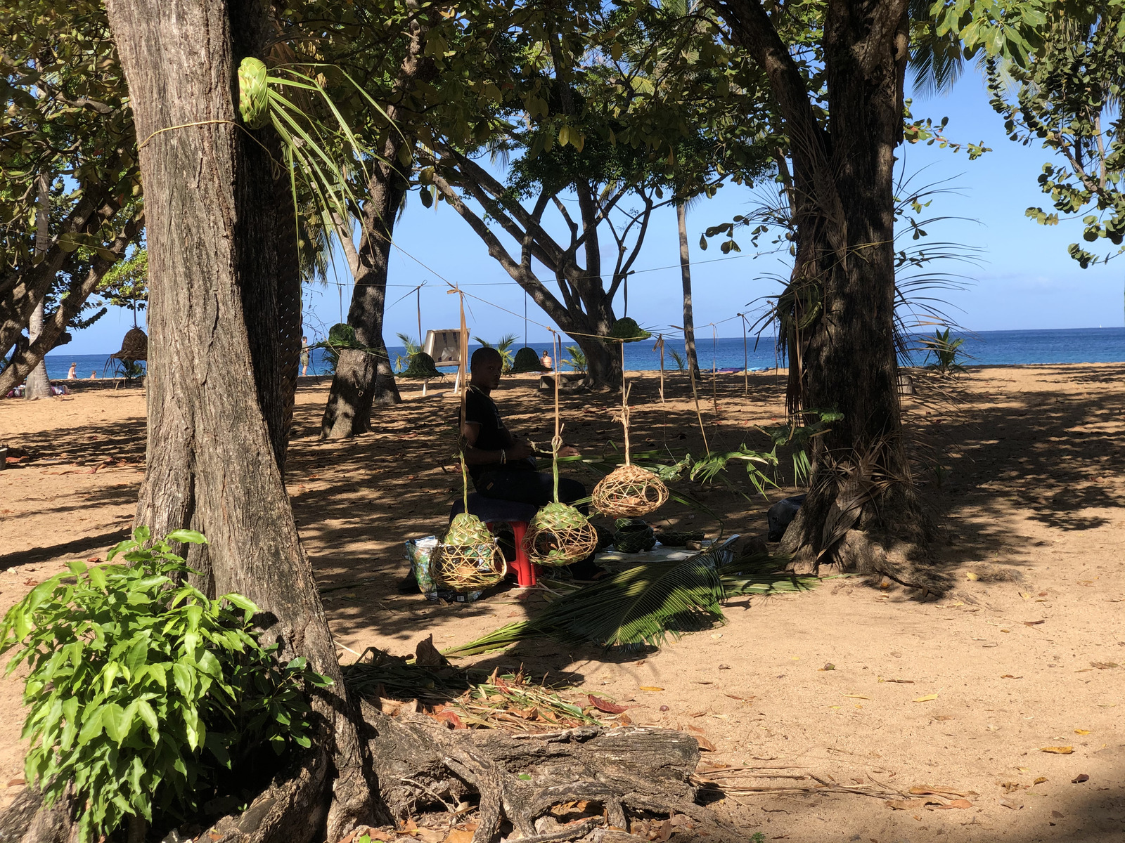 รูปถ่าย กวาเดอลูป(Guadeloupe) หาดกร็องด์อ็องส์(Grande Hanse Beach) 2021-02 15