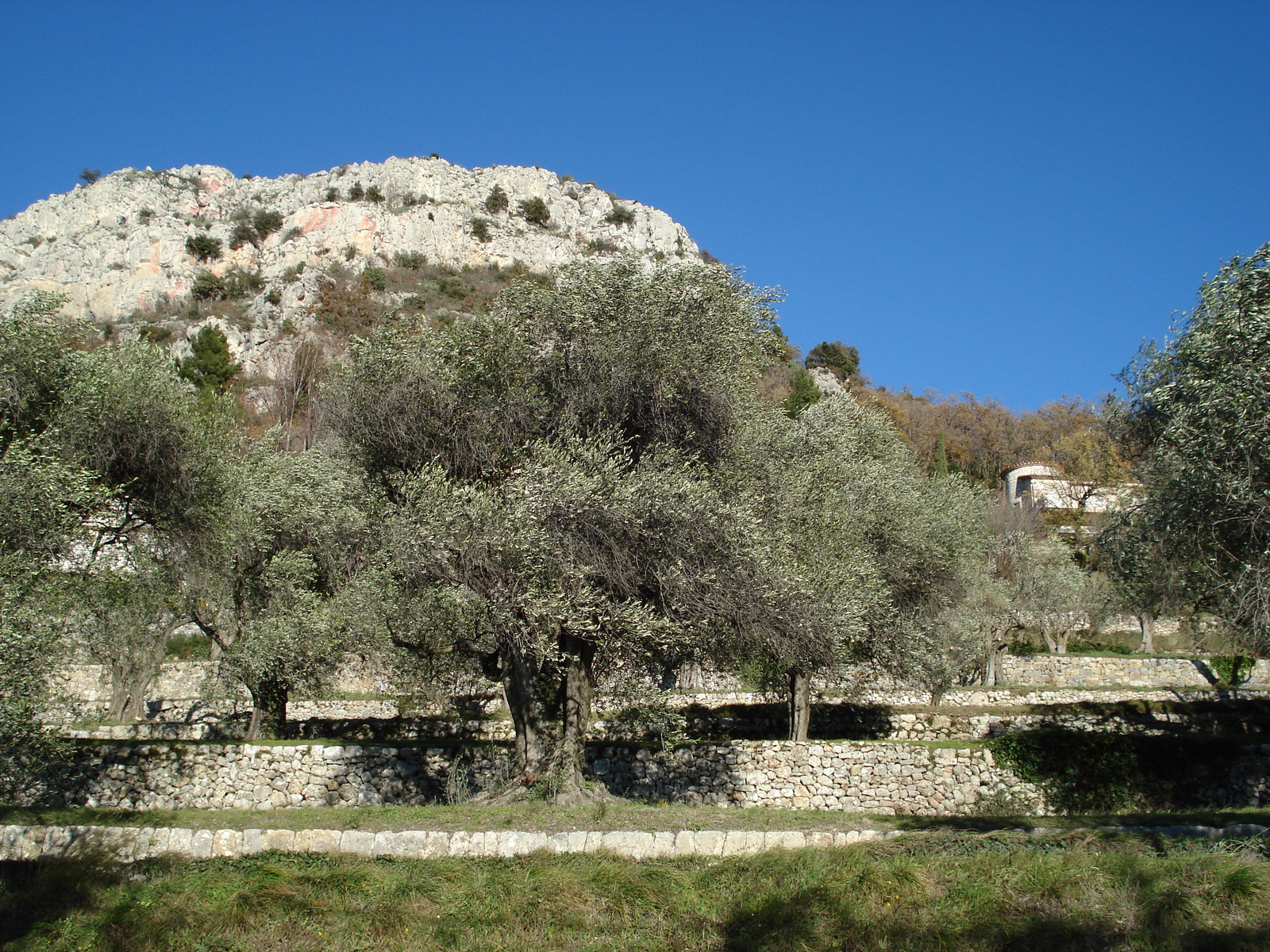 รูปถ่าย ฝรั่งเศส(France) เฟรนช์ริวิเอรา(French Riviera) ถนนช่องเขาเดอว็องส์(Col de Vence road) 2007-01 61