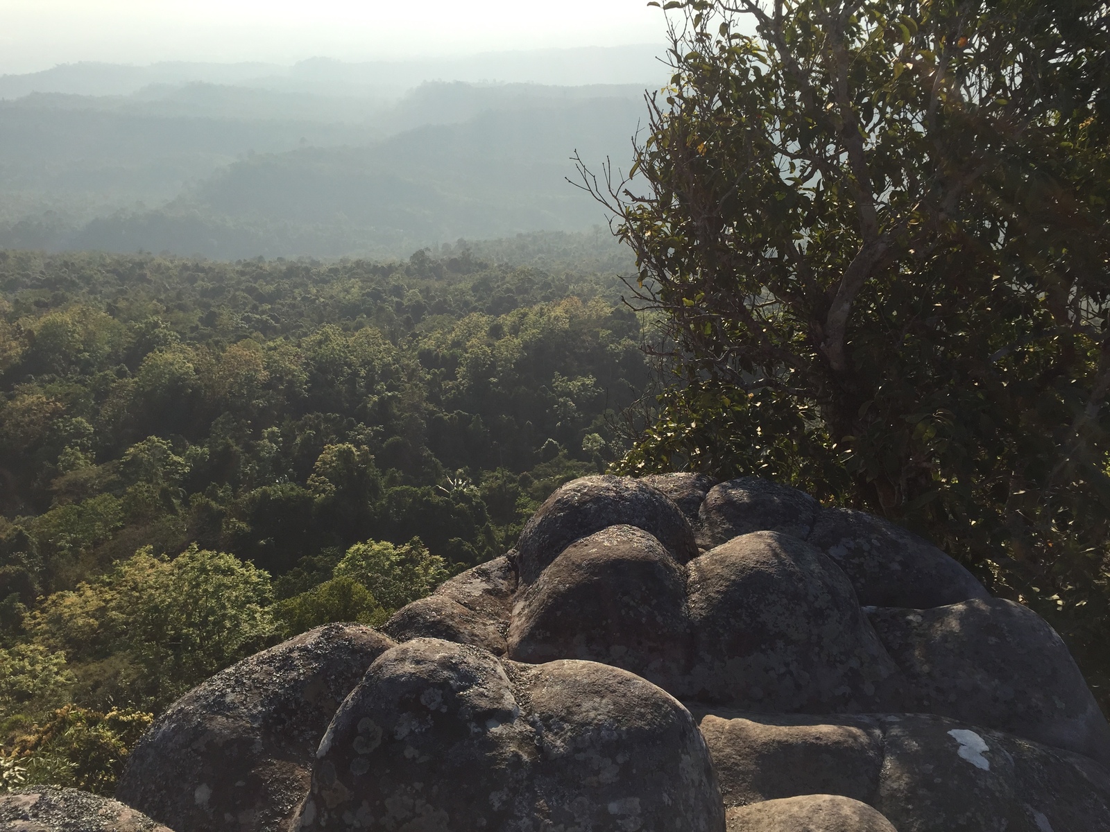รูปถ่าย ไทย(Thailand) อุทยานแห่งชาติภูหินร่องกล้า(Phu Hin Rong Kla National Park) 2014-12 109