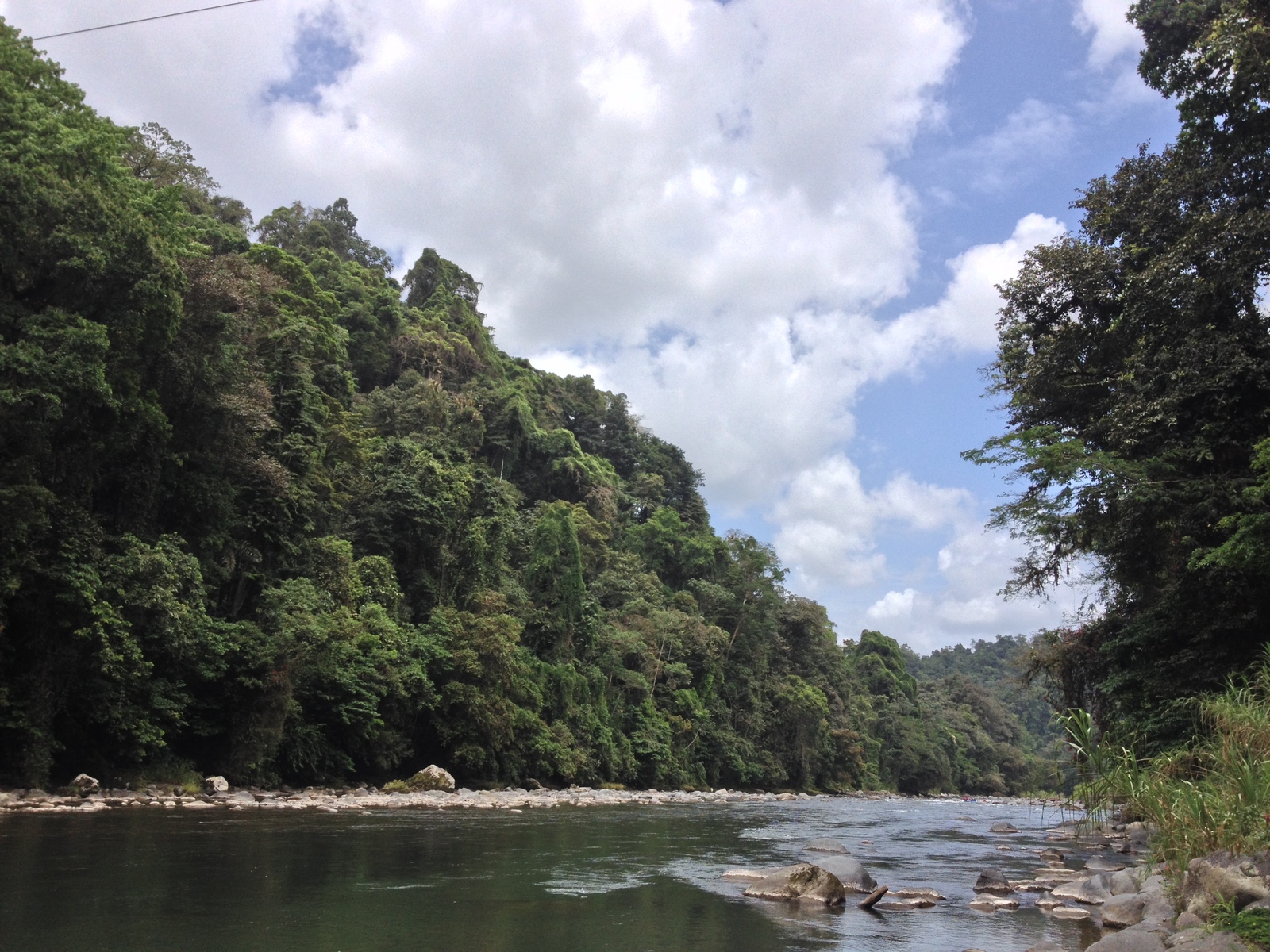 รูปถ่าย คอสตาริกา(Costa Rica) แม่น้ำปากัวเร(Pacuare River) 2015-03 16