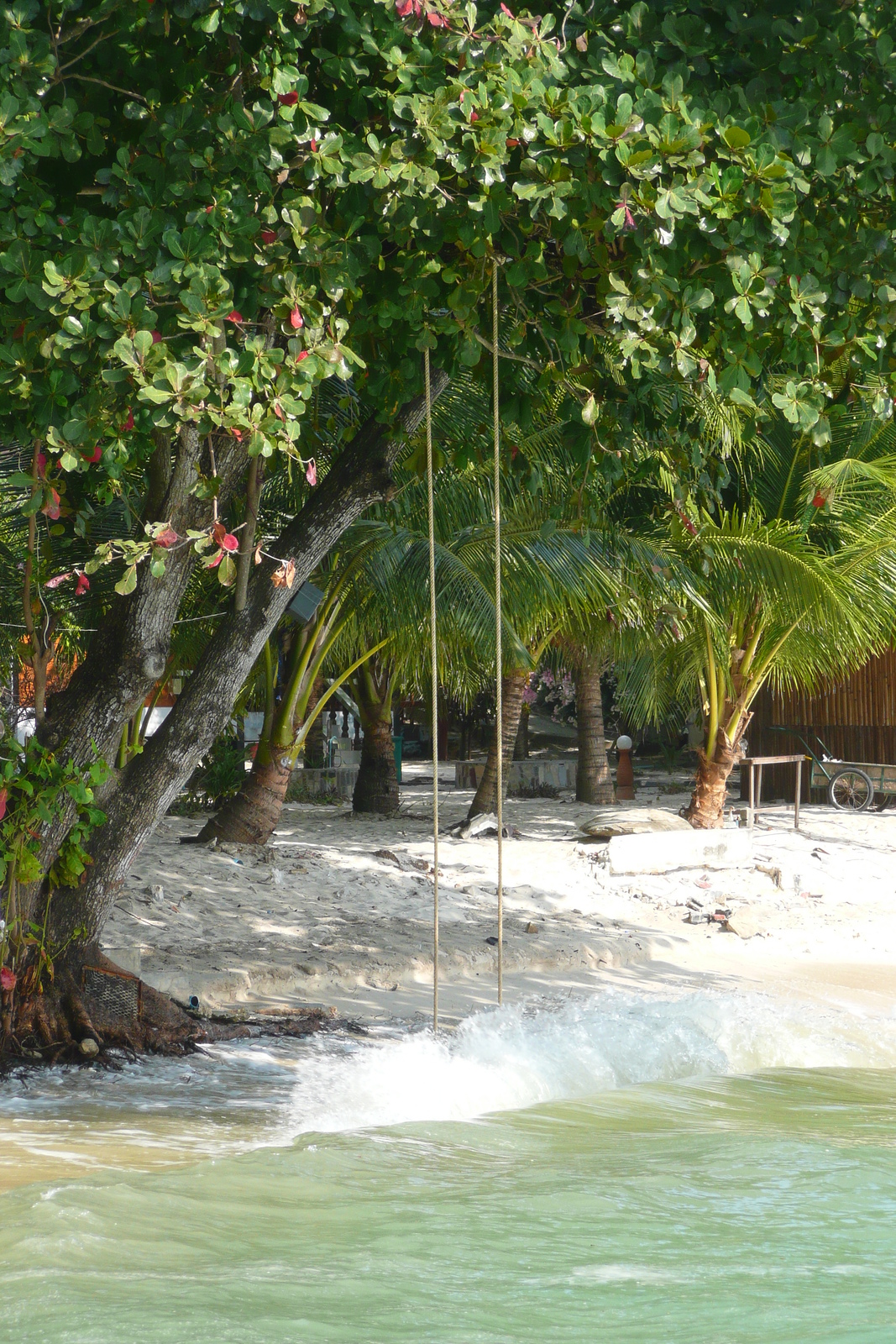 รูปถ่าย ไทย(Thailand) เกาะเสม็ด(Ko Samet) อ่าวช่อ(Ao Cho) 2009-01 26