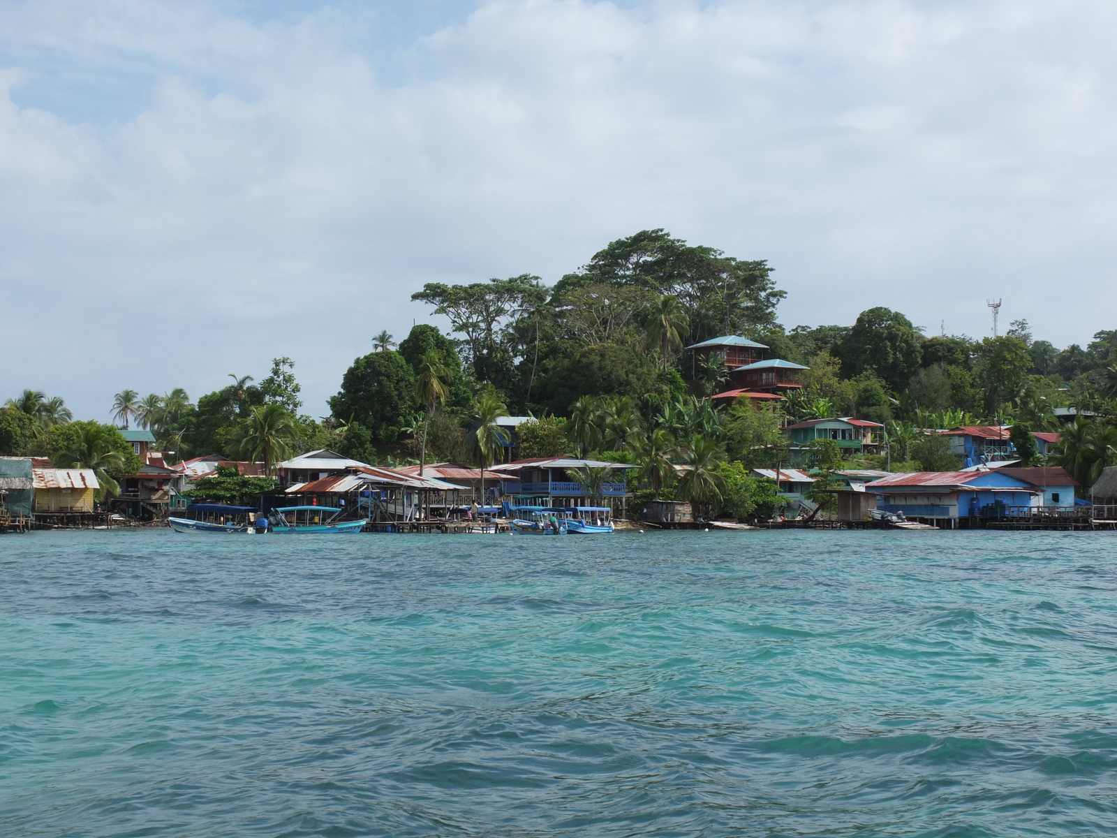 รูปถ่าย ปานามา(Panama) เกาะบาสติเมนโตส(Bastimentos) 2015-03 76