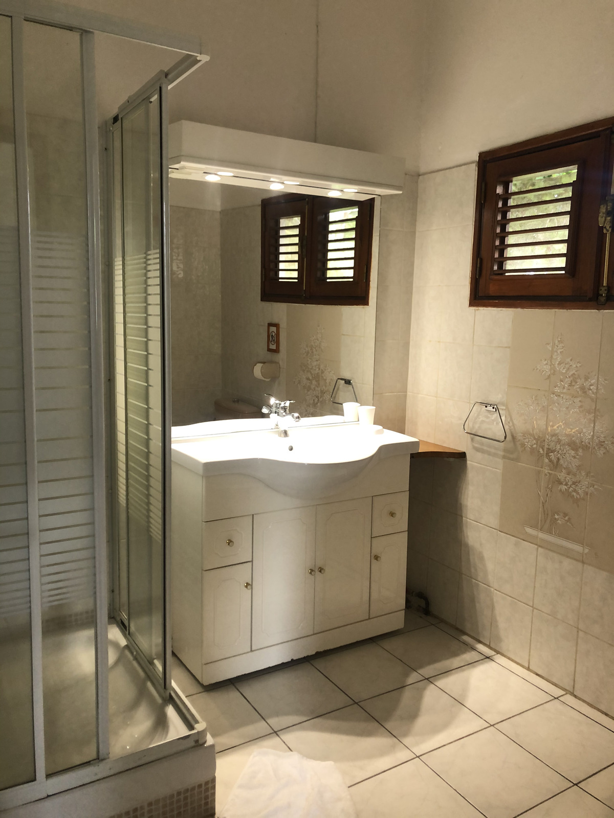 รูปถ่าย กวาเดอลูป(Guadeloupe) หาดลาแปร์ล(La Perle Beach) 2021-02 58