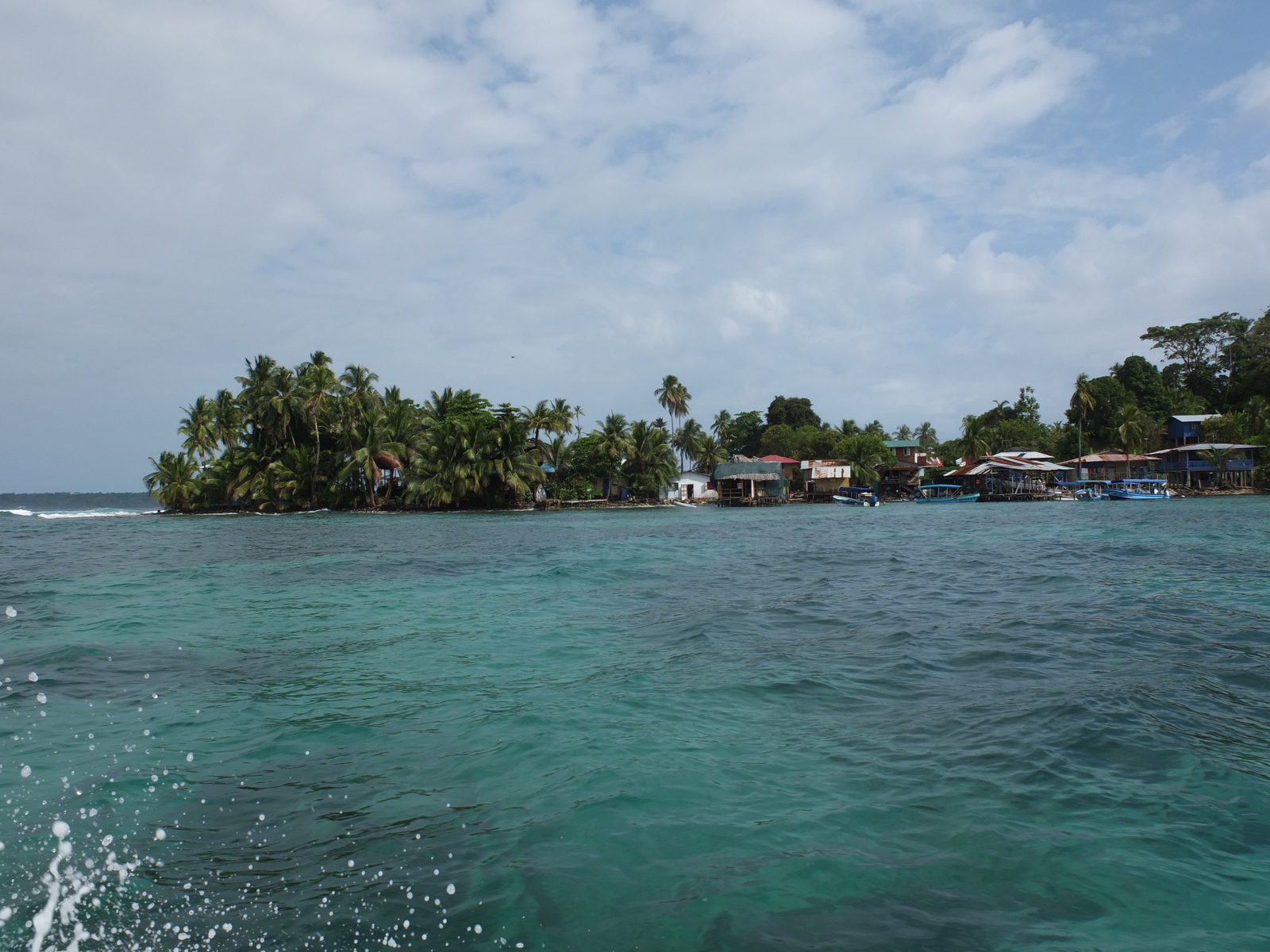 รูปถ่าย ปานามา(Panama) เกาะบาสติเมนโตส(Bastimentos) 2015-03 77