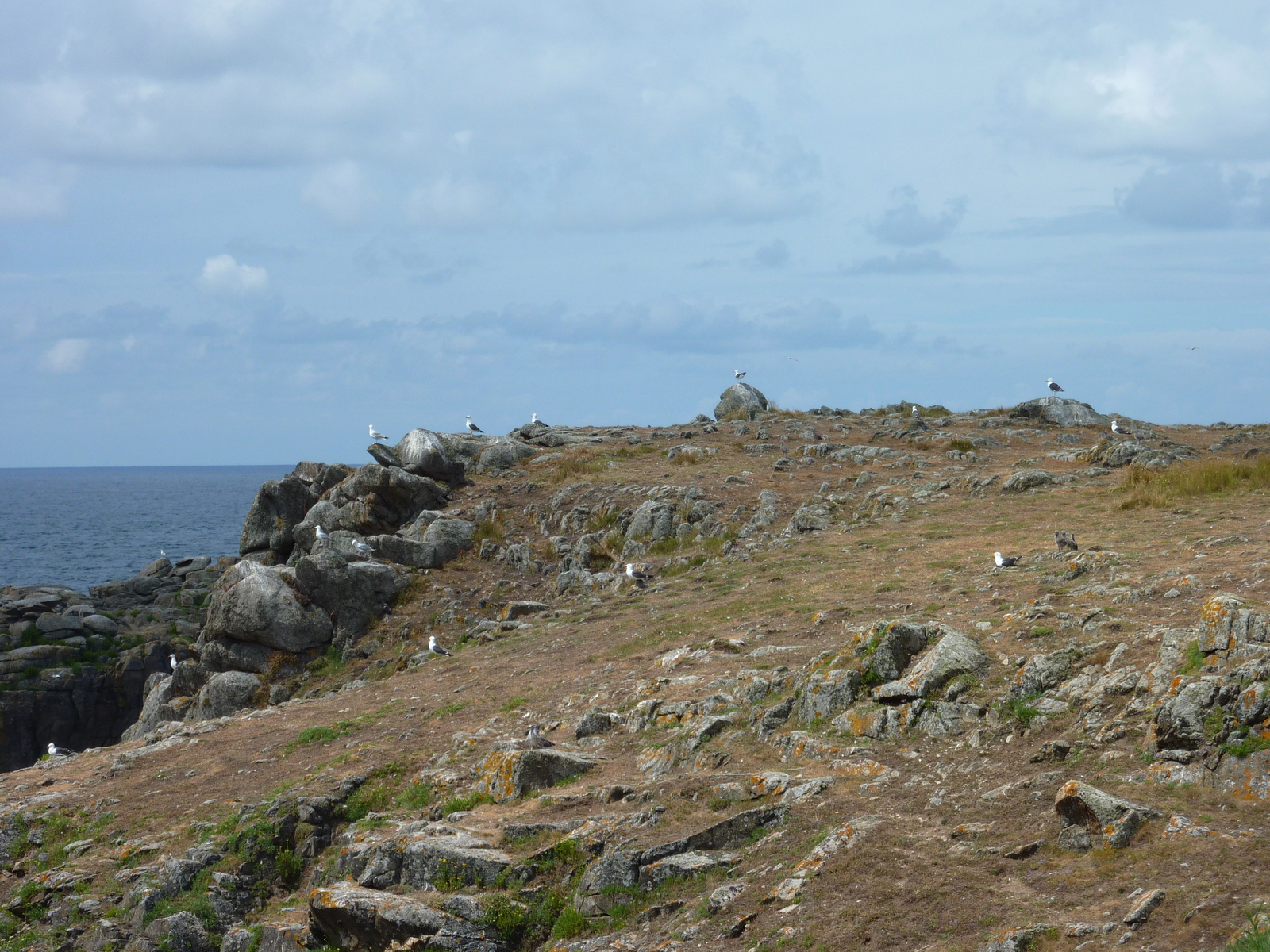 รูปถ่าย ฝรั่งเศส(France) เกาะดีเยอ(Ile d'yeu) 2009-07 100