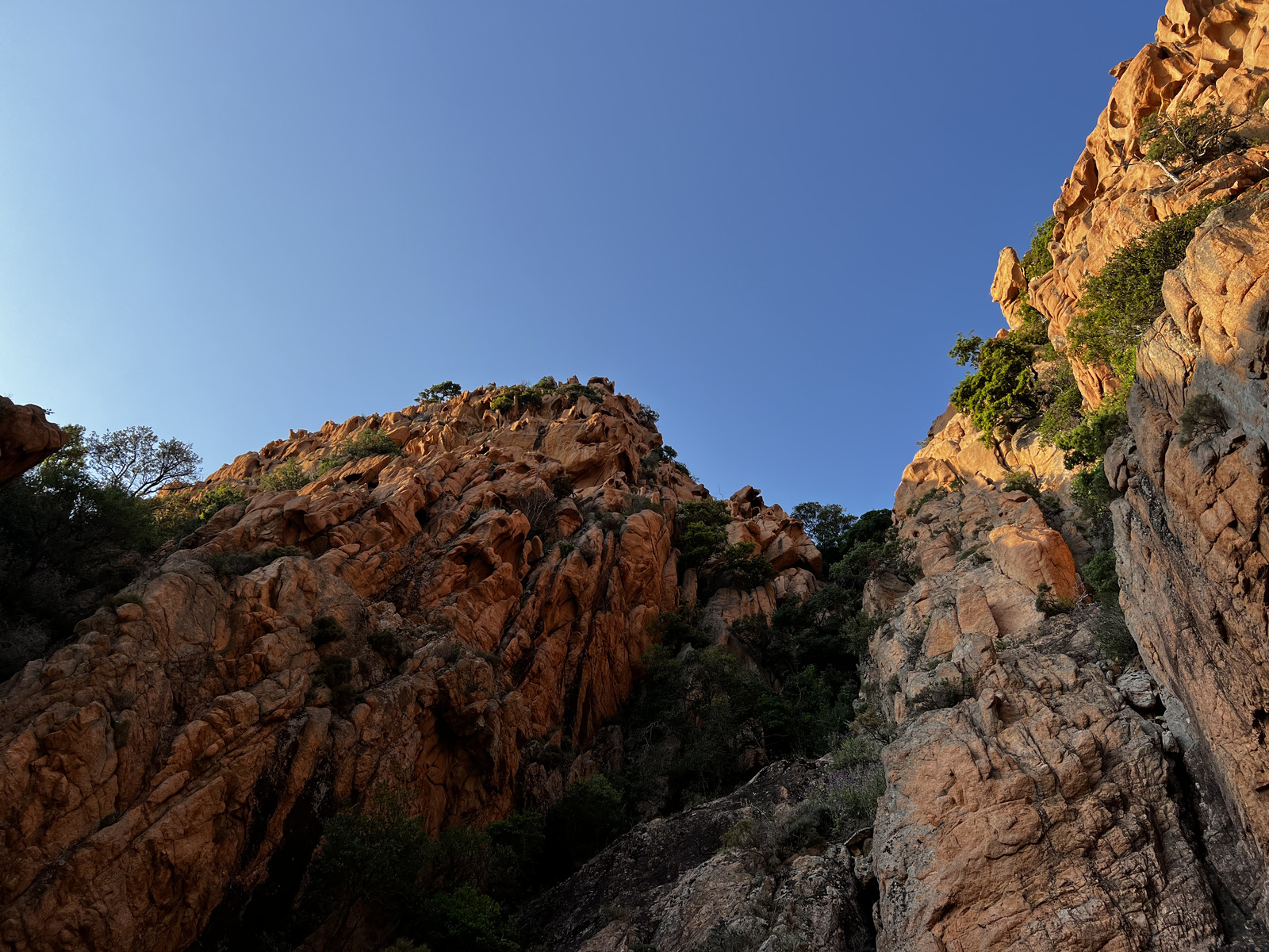 รูปถ่าย ฝรั่งเศส(France) คอร์สิคา(Corsica) หน้าผากาลังก์เดอเปียนา(Calanques de Piana) 2023-06 20