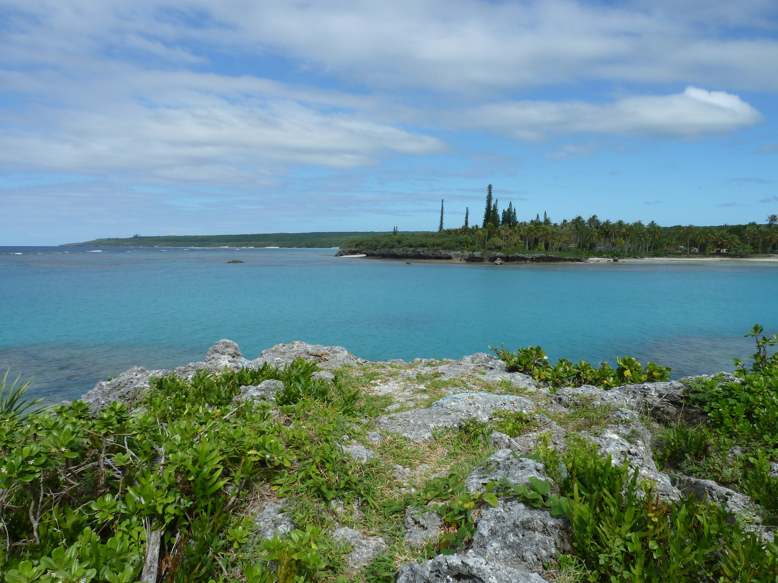 รูปถ่าย นิวแคลิโดเนีย(New Caledonia) เกาะลีฟู(Lifou) อ่าวเต่า(Baie des tortues) 2010-05 14