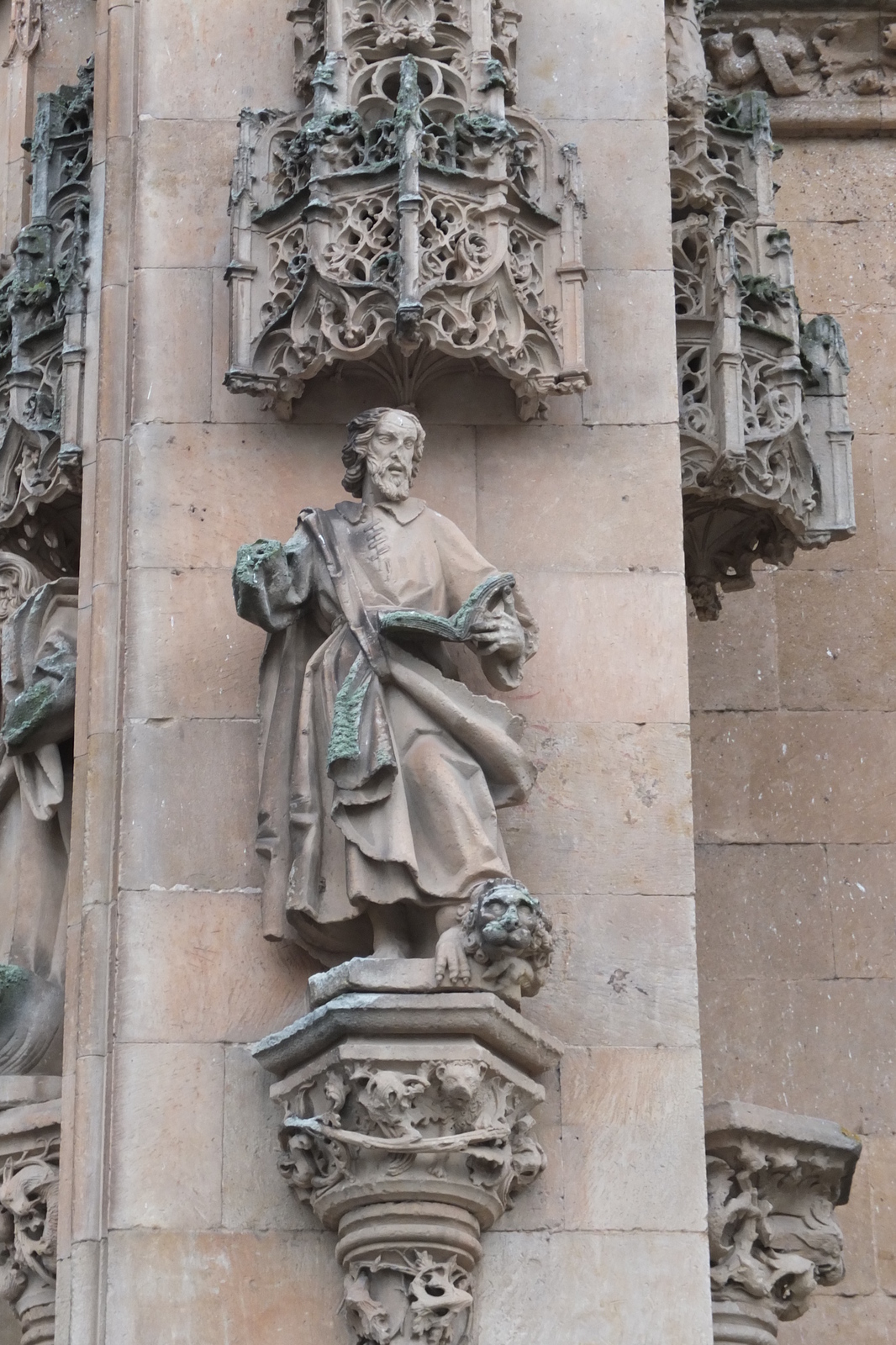 รูปถ่าย สเปน(Spain) ซาลามังกา(Salamanca) 2013-01 128
