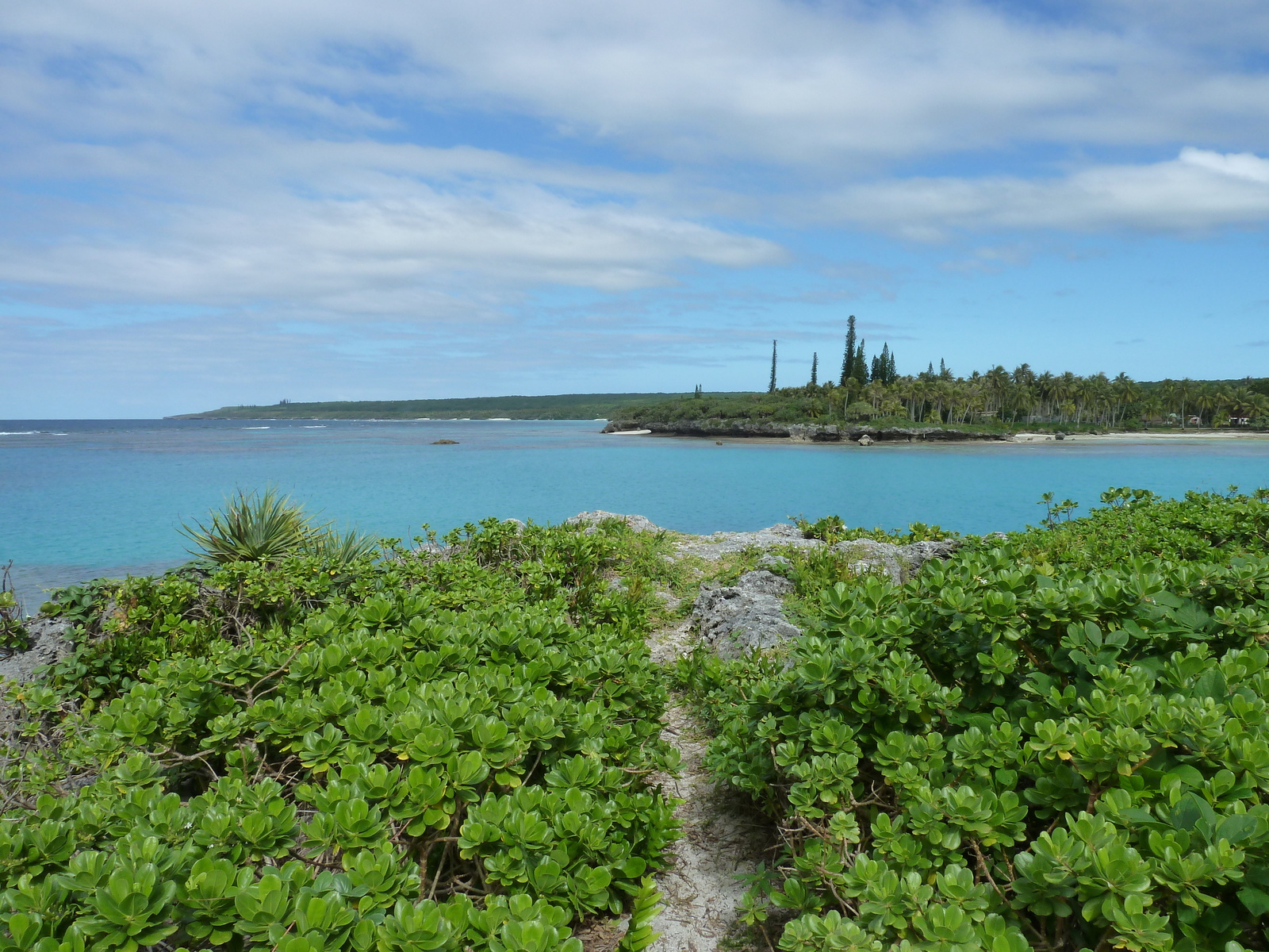 รูปถ่าย นิวแคลิโดเนีย(New Caledonia) เกาะลีฟู(Lifou) อ่าวเต่า(Baie des tortues) 2010-05 11