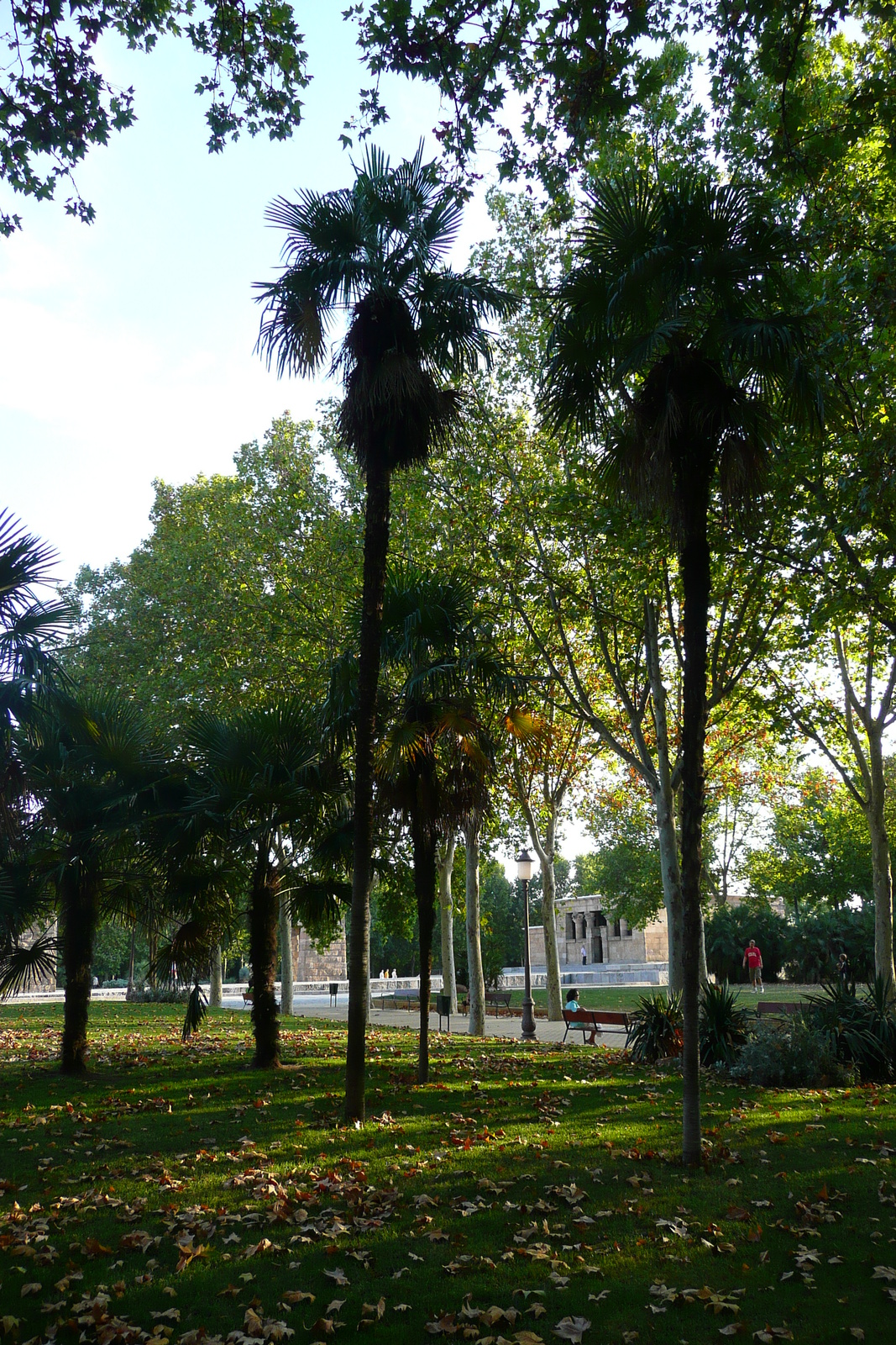 รูปถ่าย สเปน(Spain) มาดริค(Madrid) สวนเดลโอเอสเต(Parque del Oeste) 2007-09 41