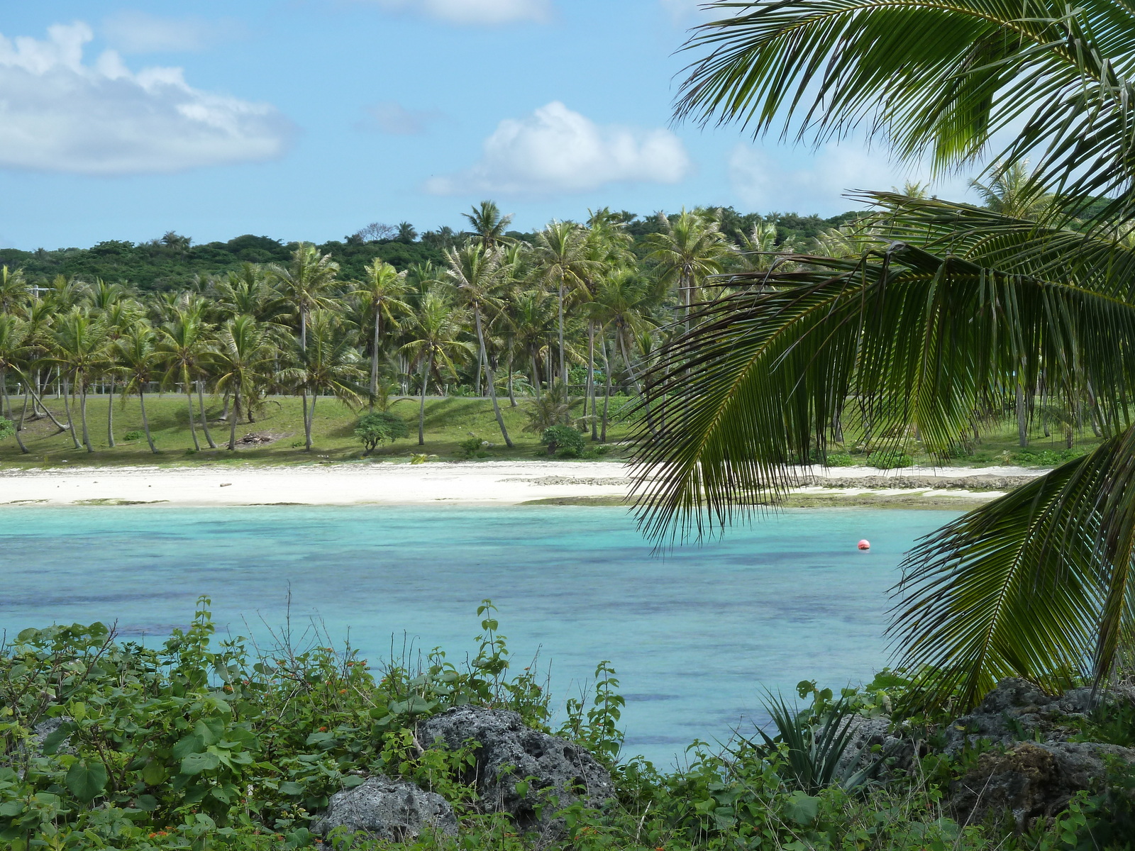 รูปถ่าย นิวแคลิโดเนีย(New Caledonia) 2010-05 52